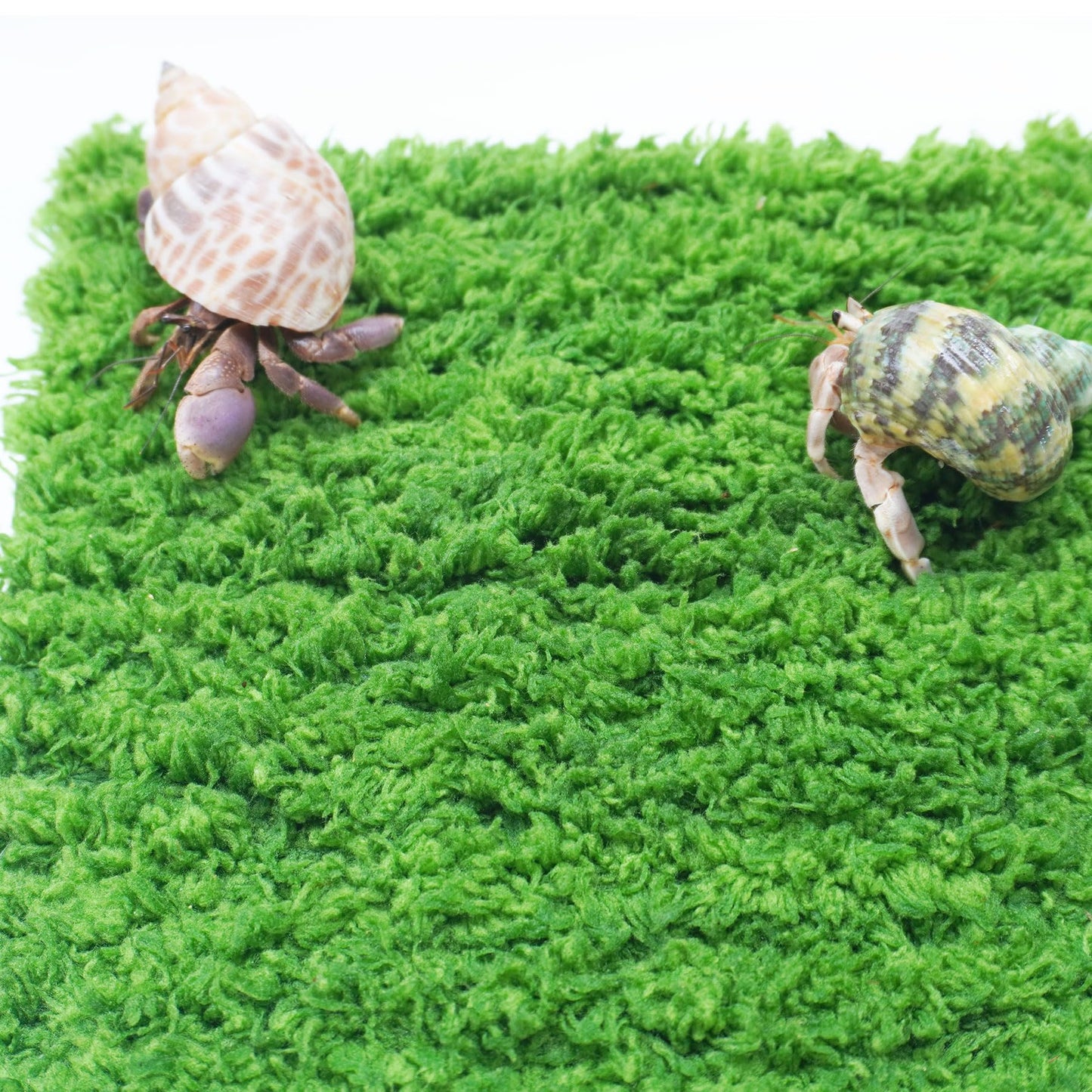 Jinymral Hermit Crab Climbing Wall, 6 Inch Adjustable Hermit Crab Supplies for Hermit Crab Tank