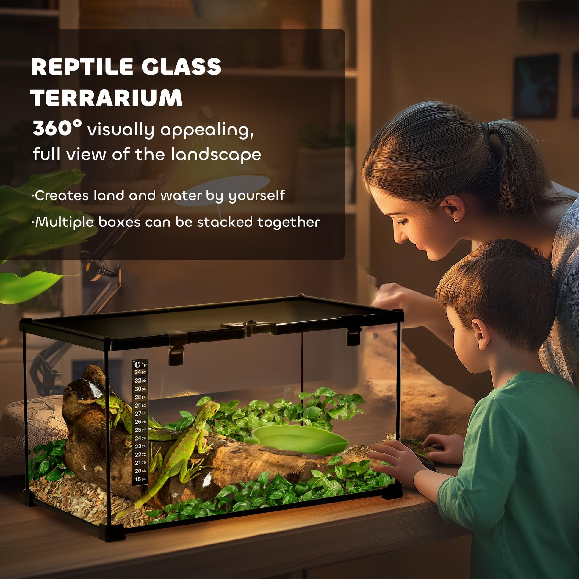 PawHut Glass Reptile Terrarium, 20"x12"x10"Jumping Spider Enclosure with Thermometer, Water Basin, Full View Visually for Lizards, Horned Frogs, Snakes, Spiders - Black - Furr-Reel