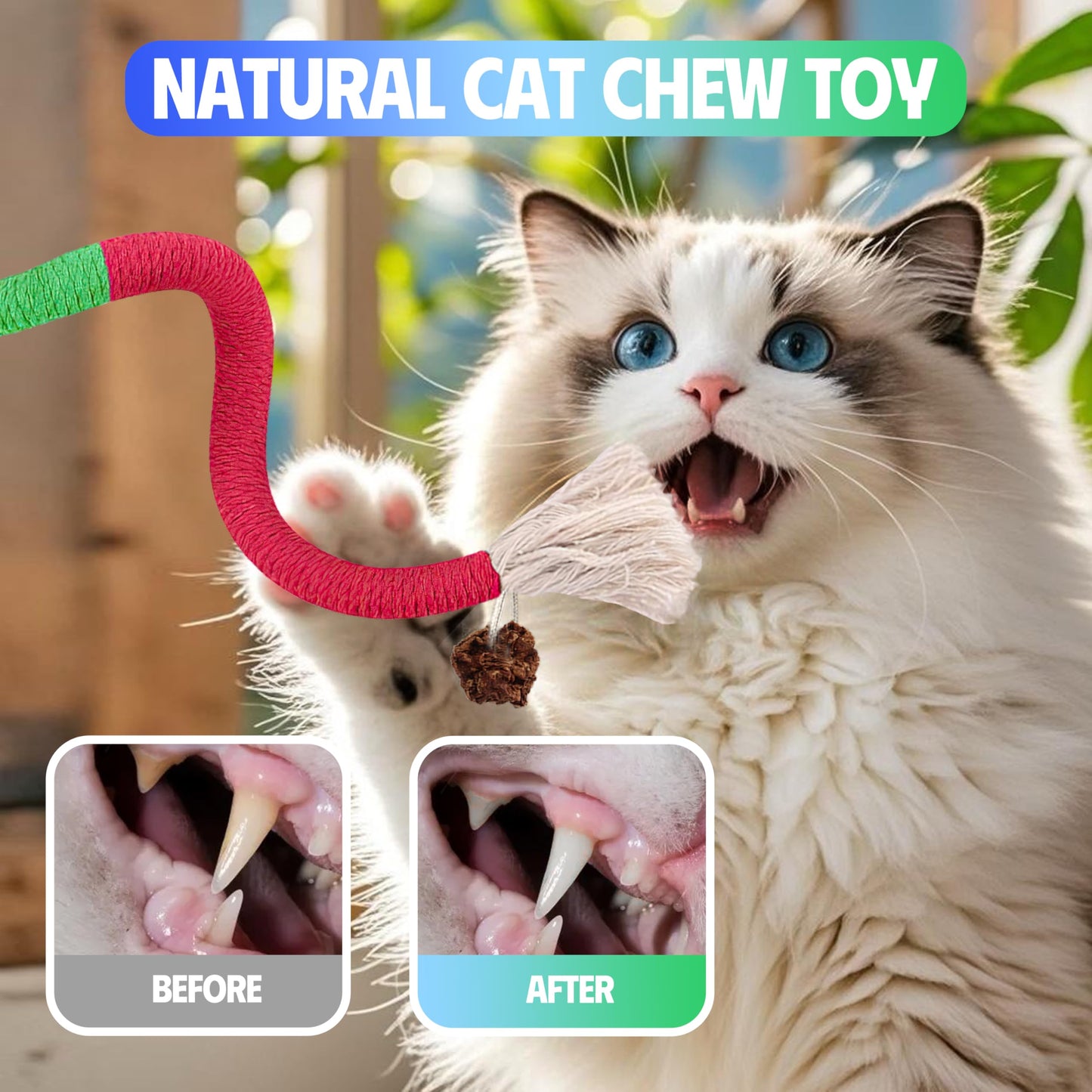 4 Pcs Cat & Kitten Chew Toy, Cat Toys Ropes and Silvervine Chew Sticks with Refillable Natural Catnip Bag for Teeth Cleaning, Safe Interactive Toys for Indoor Cats