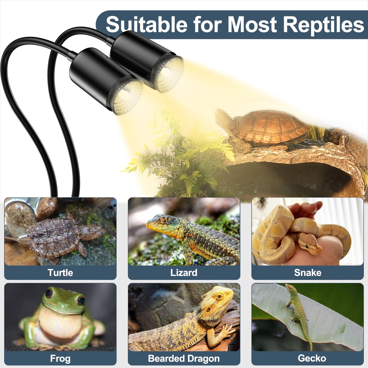 Petboda Reptile Heat Lamp, Dual Head UVA/UVB Reptile Light with Cycle Timer, Dimmable Basking Light for Turtle Tortoise Lizard Snake Bearded Dragon and More, 4 Bulbs Included (Black) - Furr-Reel