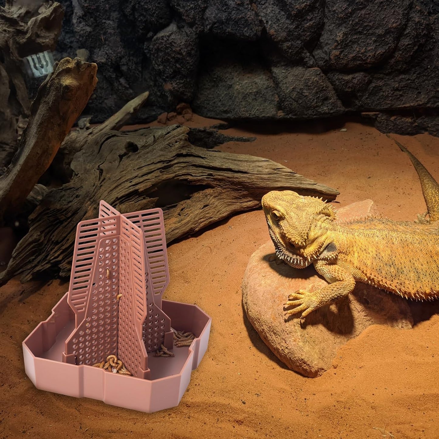 SLSON Mangeoire pour reptiles - Dragon barbu - Bol de proie avec design grimpable pour reptiles pour chasser, caméléon, lézard, gecko, grenouille - Accessoires de terrarium