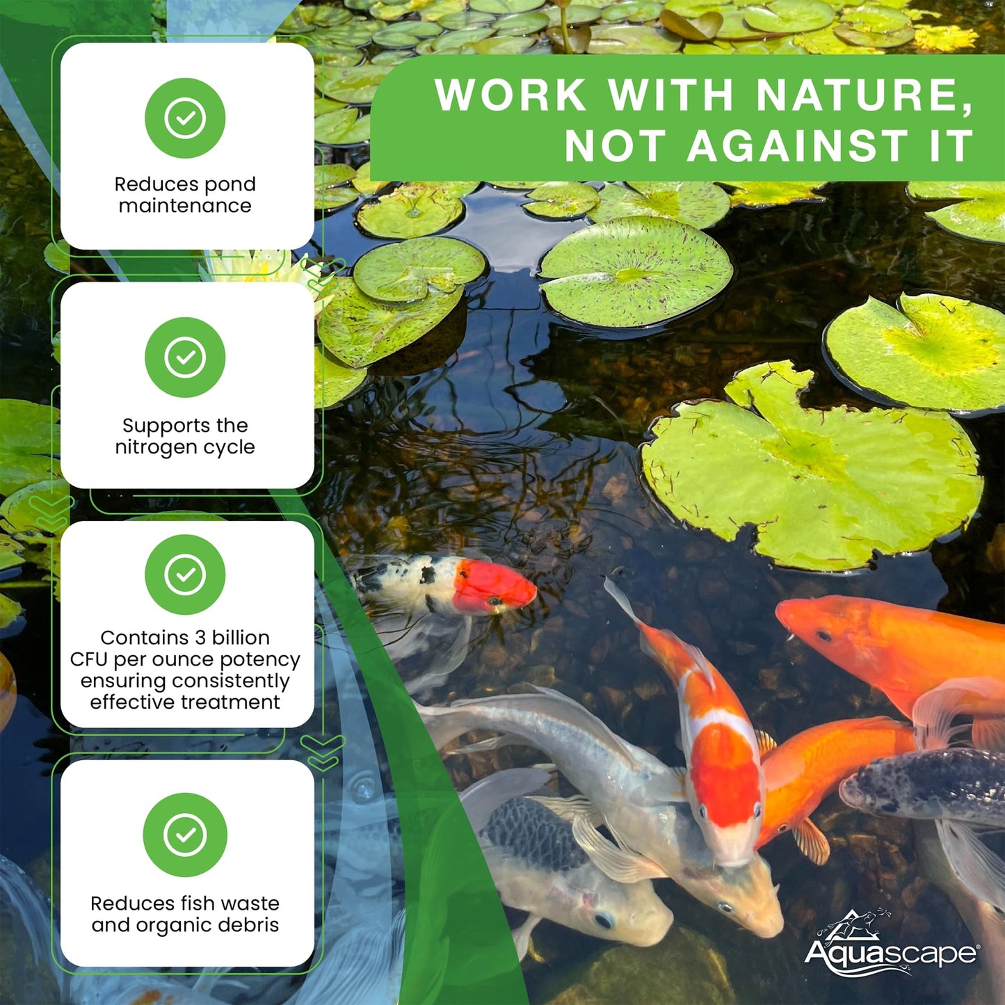 Aquascape 98949 Beneficial Bacteria for Ponds, Dry 1.1 Lbs Furr-Reel