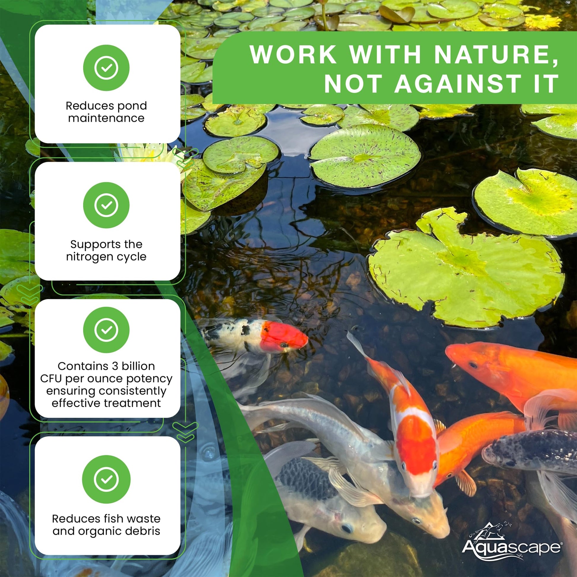 Aquascape 98949 Beneficial Bacteria for Ponds, Dry 1.1 Lbs Furr-Reel