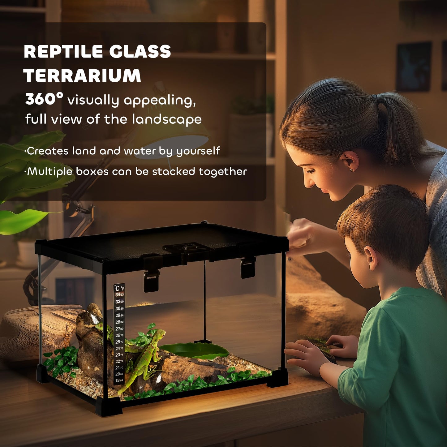 PawHut Glass Reptile Terrarium, 20"x12"x10"Jumping Spider Enclosure with Thermometer, Water Basin, Full View Visually for Lizards, Horned Frogs, Snakes, Spiders - Black - Furr-Reel