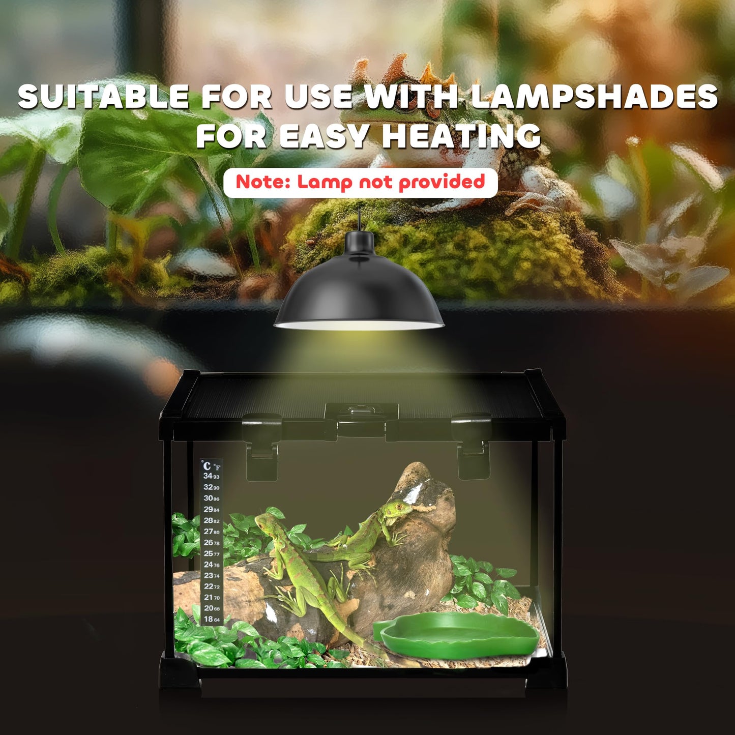 PawHut Glass Reptile Terrarium, 20"x12"x10"Jumping Spider Enclosure with Thermometer, Water Basin, Full View Visually for Lizards, Horned Frogs, Snakes, Spiders - Black - Furr-Reel