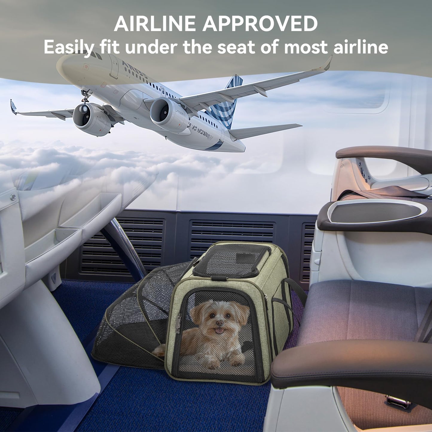 Petsfit Rabbit Carrier Bunny Carriers, Airline Approved Soft-Sided Pet Carrier for Guinea Pig/Cat/Dog/Kittens/Puppy, 16"x 10"x 9"