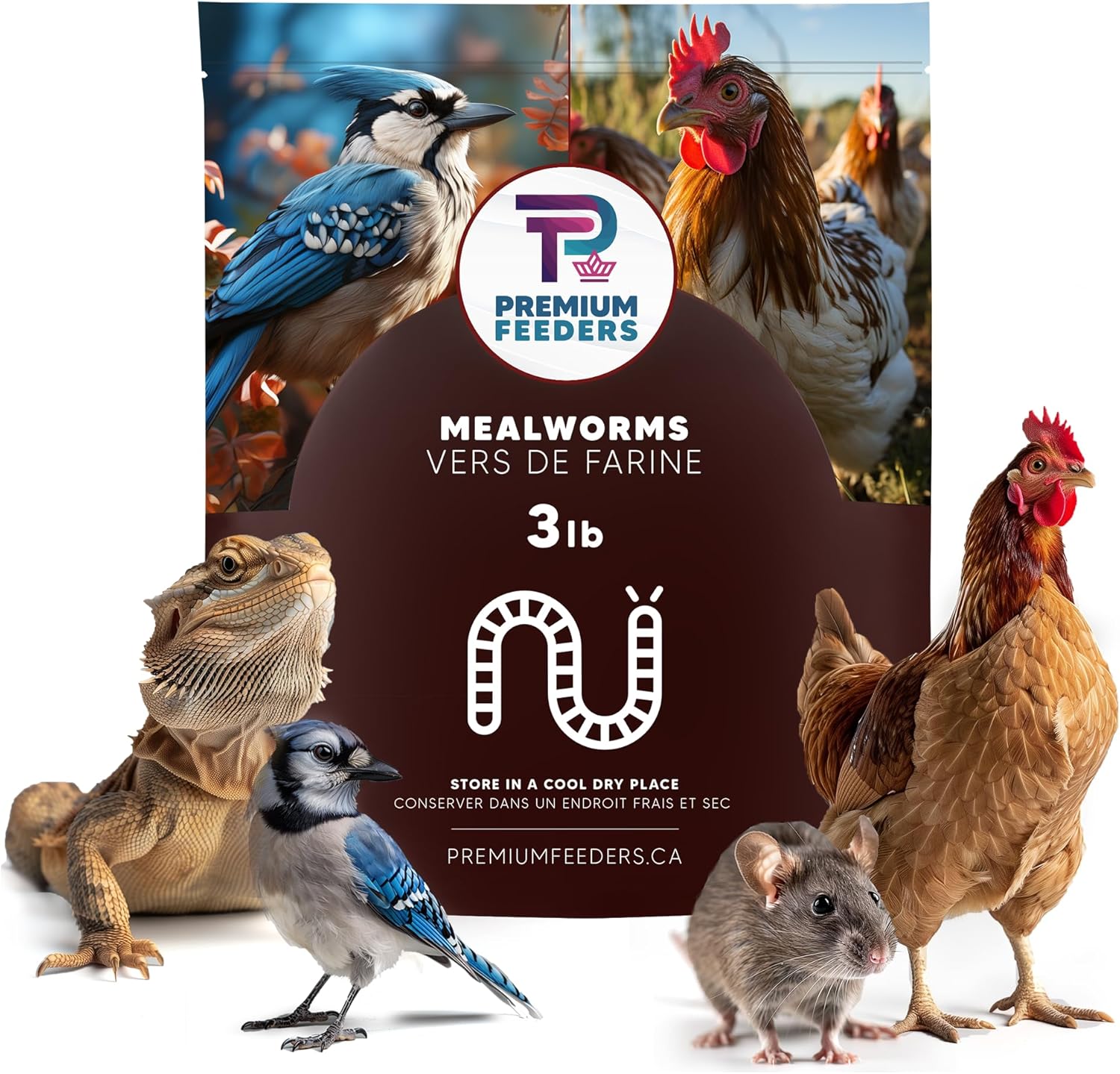 3LB - MEALWORMS by Premium Feeders – Approx 48000+ Dried Mealworms - Chicken & Bird Feed - Meal Worms Treats - High Protein – Mealworm for Chickens, Wild Birds, Hens, Rat, Fish, Hedgehog & Hamster