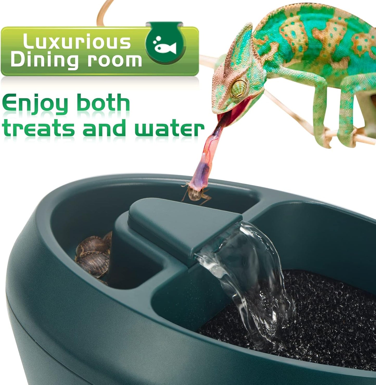 Reptile Chameleon Cantina with Snacks Trough, Drinking Fountain Water Dripper for Amphibians Insects Lizard Turtle Snake Spider Frog Gecko, Comes with Two Pumps (One for Replacement) Furr-Reel