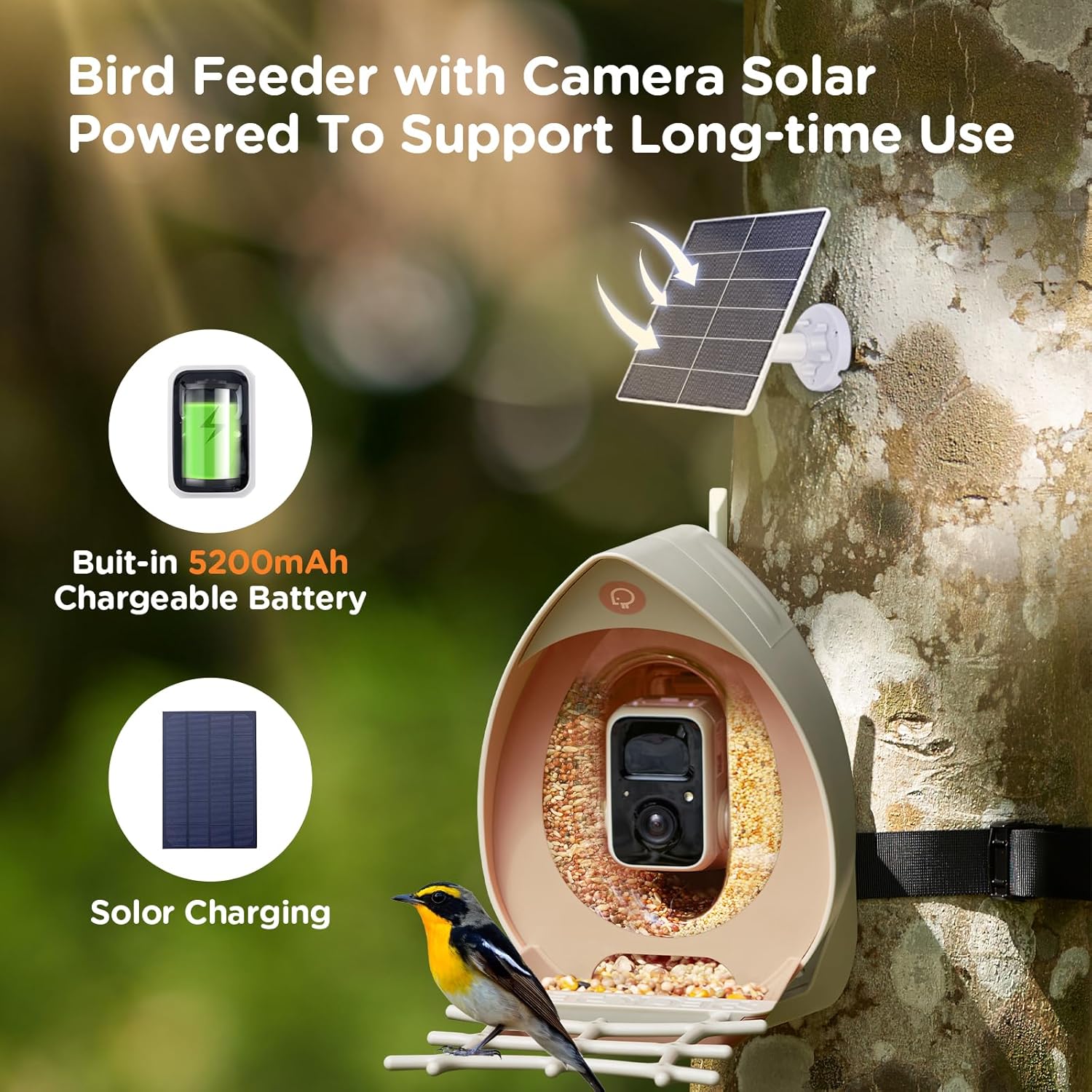 Bird Feeder with Camera Supports AI Identify Bird Species, Smart Bird Feeder,2K Video on Live Watch, Birds Arrival Alert,Solar Powered,Outdoor Bird Camera with Hummingbird Feeder,Gifts for Bird Lovers
