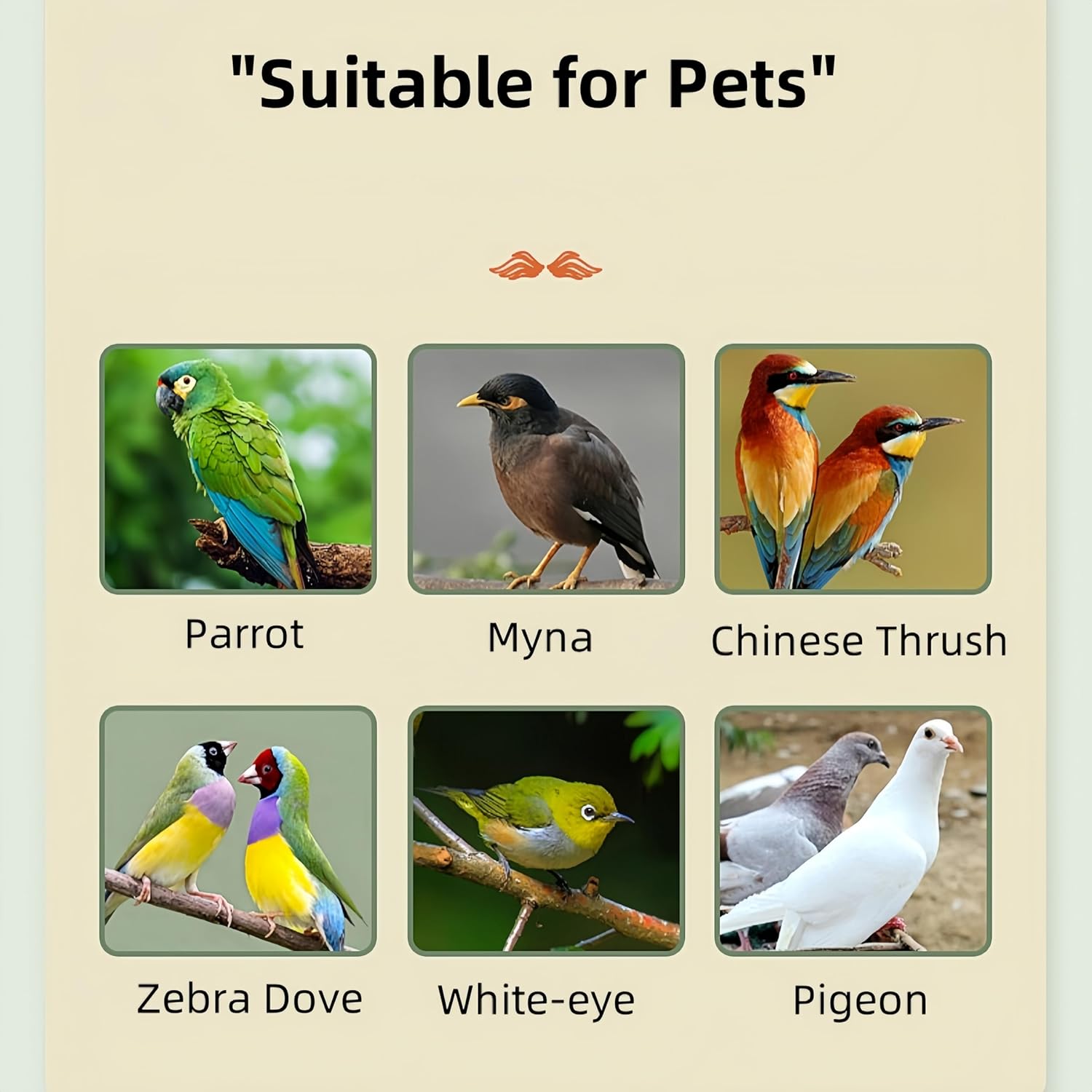 Ellisalano Premium Quality Bird Odor Eliminator Spray to Freshen Your Feathered Friend - A Must for Bird Owners (500ML)