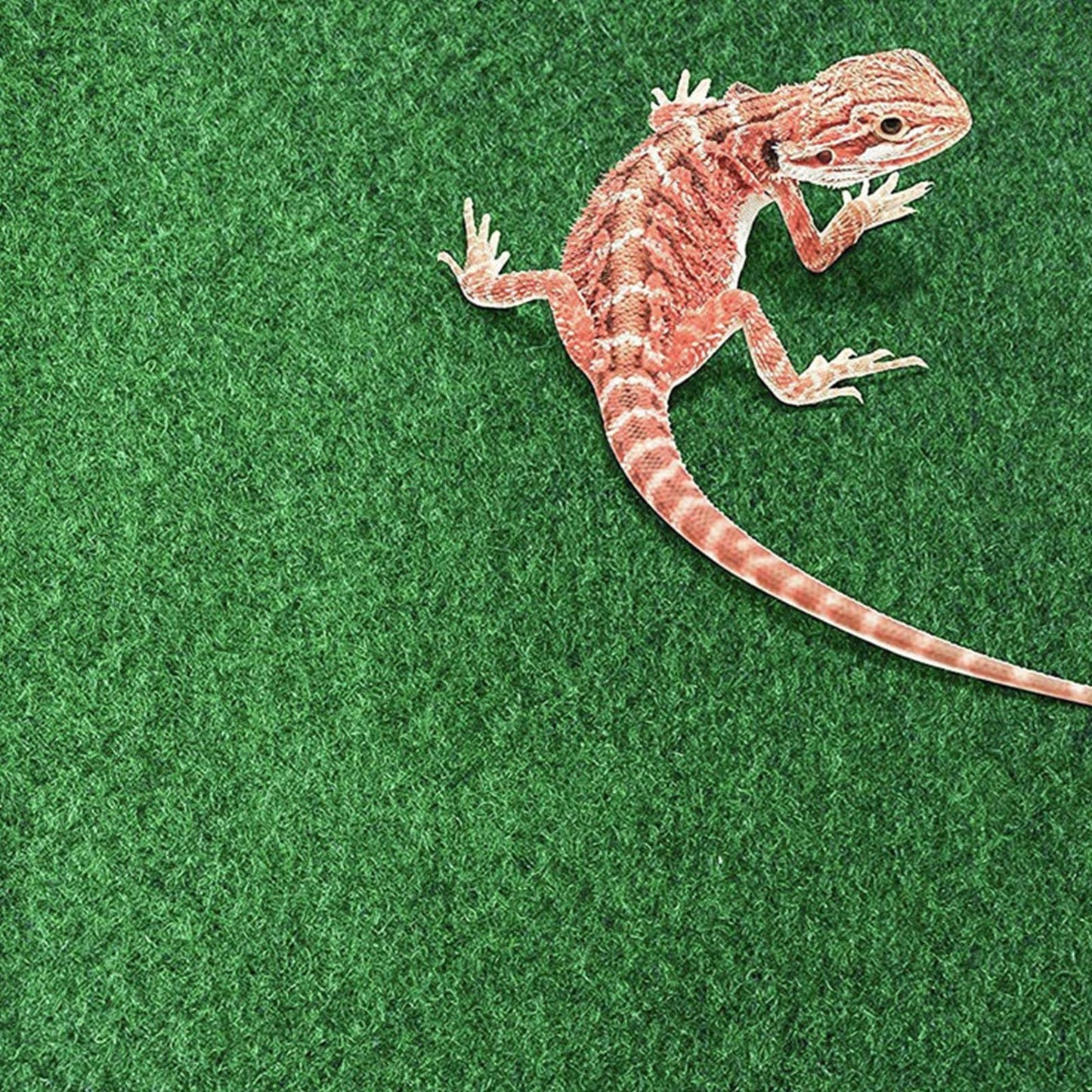 Crawling Pet Carpet, Lizards Reptile Substrate Terrarium, Grass-Like Touch Reptile Carpet - Strong Water Absorption Mat Supplies for Terrarium Bedding Substrate Liner Cuttable Size - Furr-Reel