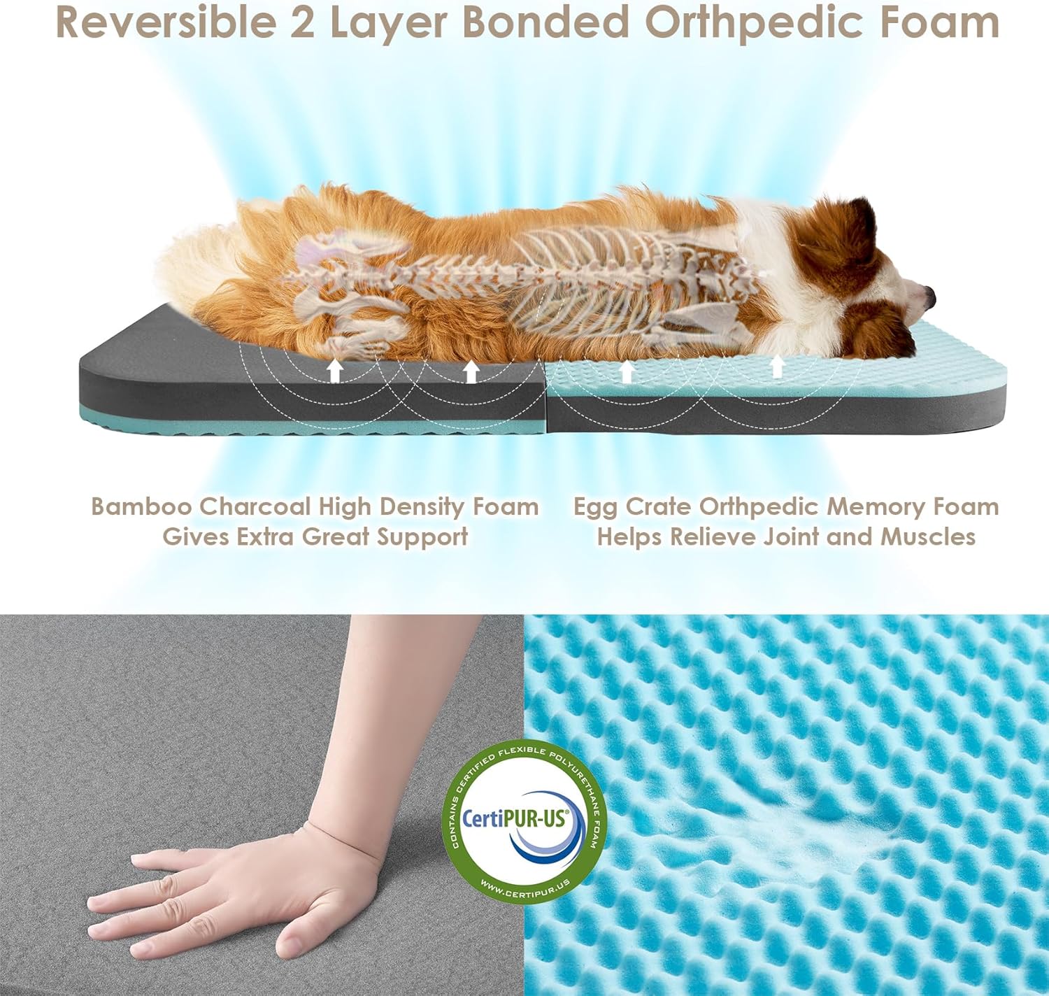 EHEYCIGA Foldable XXL Dog Bed, 54"x38"x7.5" Memory Foam Orthopedic Dog Couch for Extra Large Dogs, Calming Waterproof Pet Sofa with Washable Cover, Human Dog Bed for Kids, Dark Grey - Furr-Reel