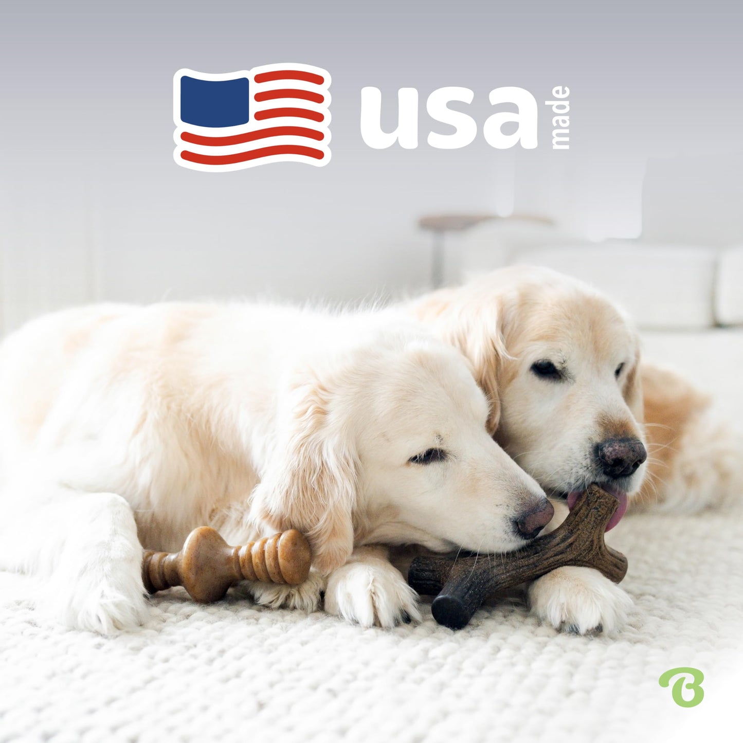 Benebone Small 4-Pack Dog Chew Toys for Aggressive Chewers, Made in USA, 30lbs and Under