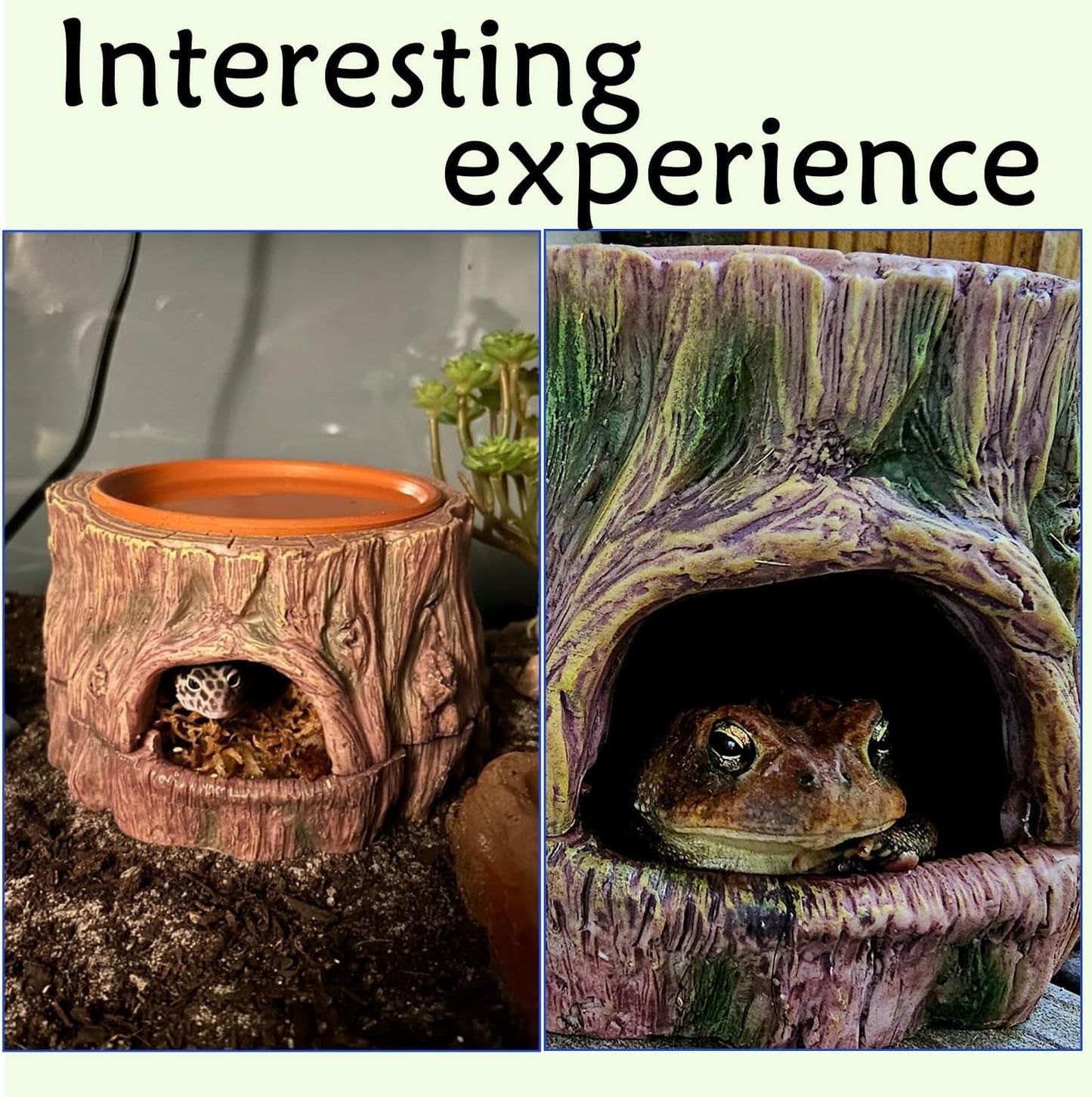 3 in 1 Reptile Hide Cave with Detachable Base & Humidity Dish for Bearded Dragon, Tank Terrarium Decor Humid Hideout for Small Reptiles Crested Gecko, Leopard, Lizard, Snake, Crabs (Hideout 3 in 1)