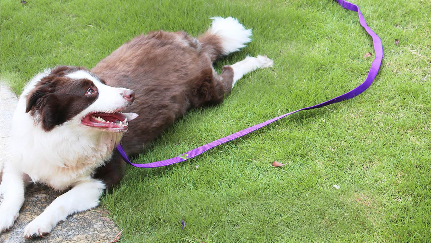 AMAGOOD Dog/Puppy Obedience Recall Training Agility Lead-15 ft 20 ft 30 ft 50 ft Long Leash-for Dog Training,Tie Out,Play,Safety,Camping (15 feet, Black)