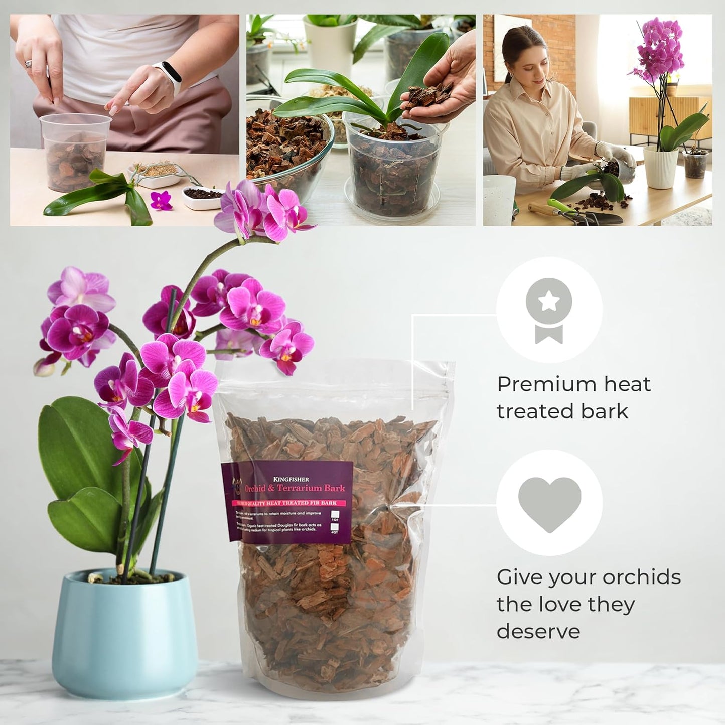 Kingfishers Orchid & Terrarium Bark | Organic Heat Treated Douglas Fir | Tropical Planting Medium | Made in Canada (4 Dry Quarts)