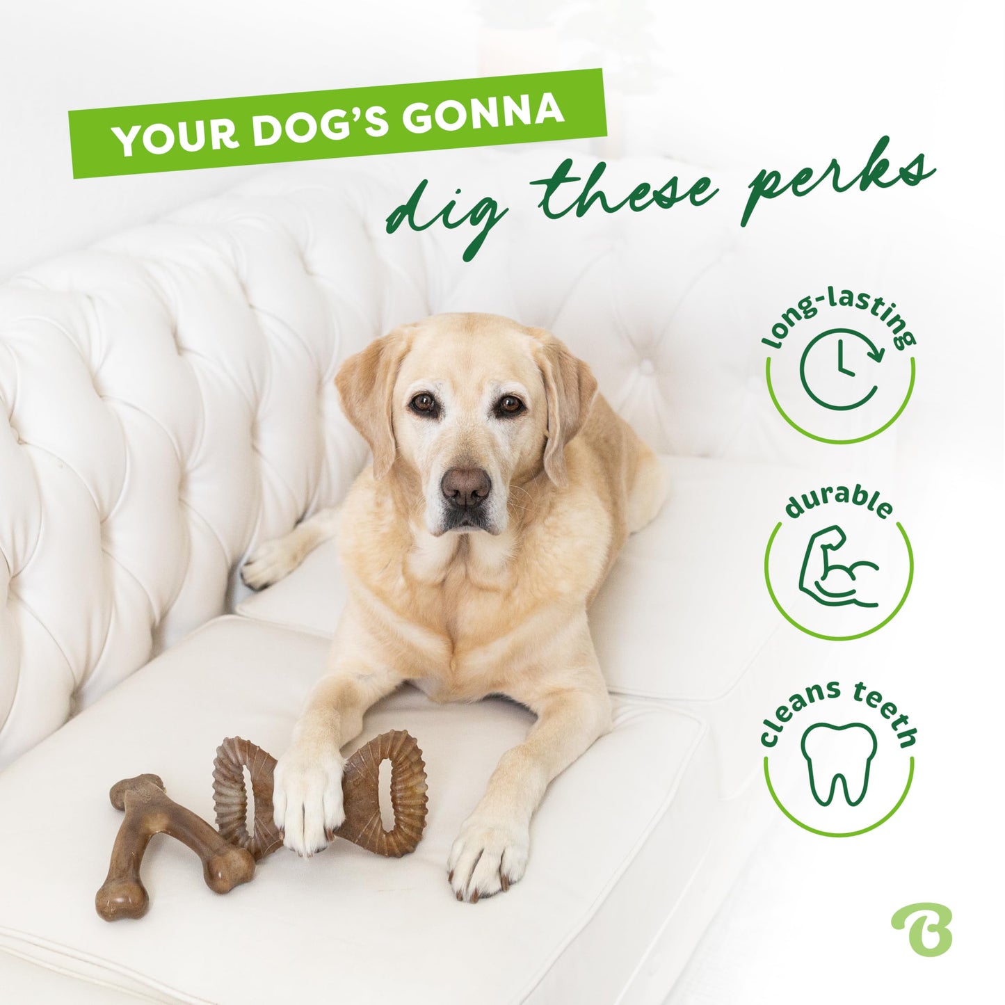 Benebone Small 4-Pack Dog Chew Toys for Aggressive Chewers, Made in USA, 30lbs and Under