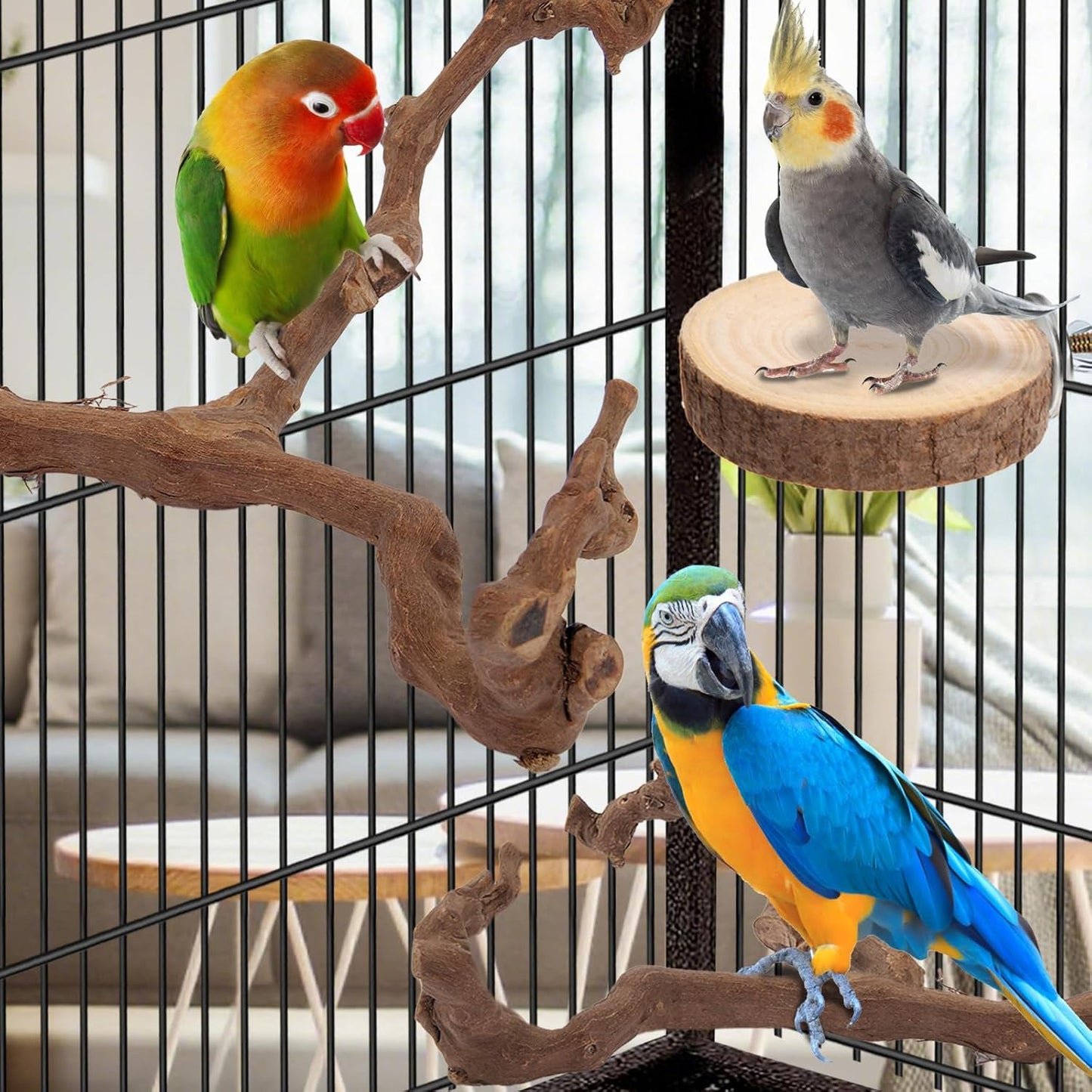 Parrot Perch Bird Perch Stand Set Natural Wild Wood Grape Sticks Paw Grinding Fork Parakeet Climbing Standing Branches Toys Cage Accessories for Conure,Cockatiels Lovebirds,Budgies Chewable 6PC Furr-Reel