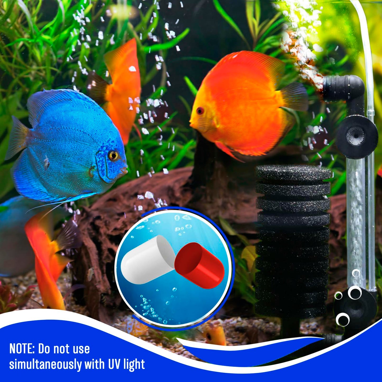 Beseder Nettoyant biologique pour aquarium Rend l'eau plus saine, réduit les nitrites et l'ammoniac pour des poissons heureux et beaucoup moins de nettoyage. Fournitures d'aquarium pour filtre