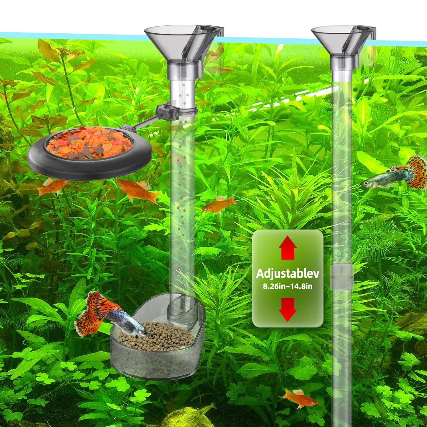 Boxtech Ensemble de mangeoires pour crevettes pour aquarium avec anneau d'alimentation, brosse de nettoyage pour aquarium