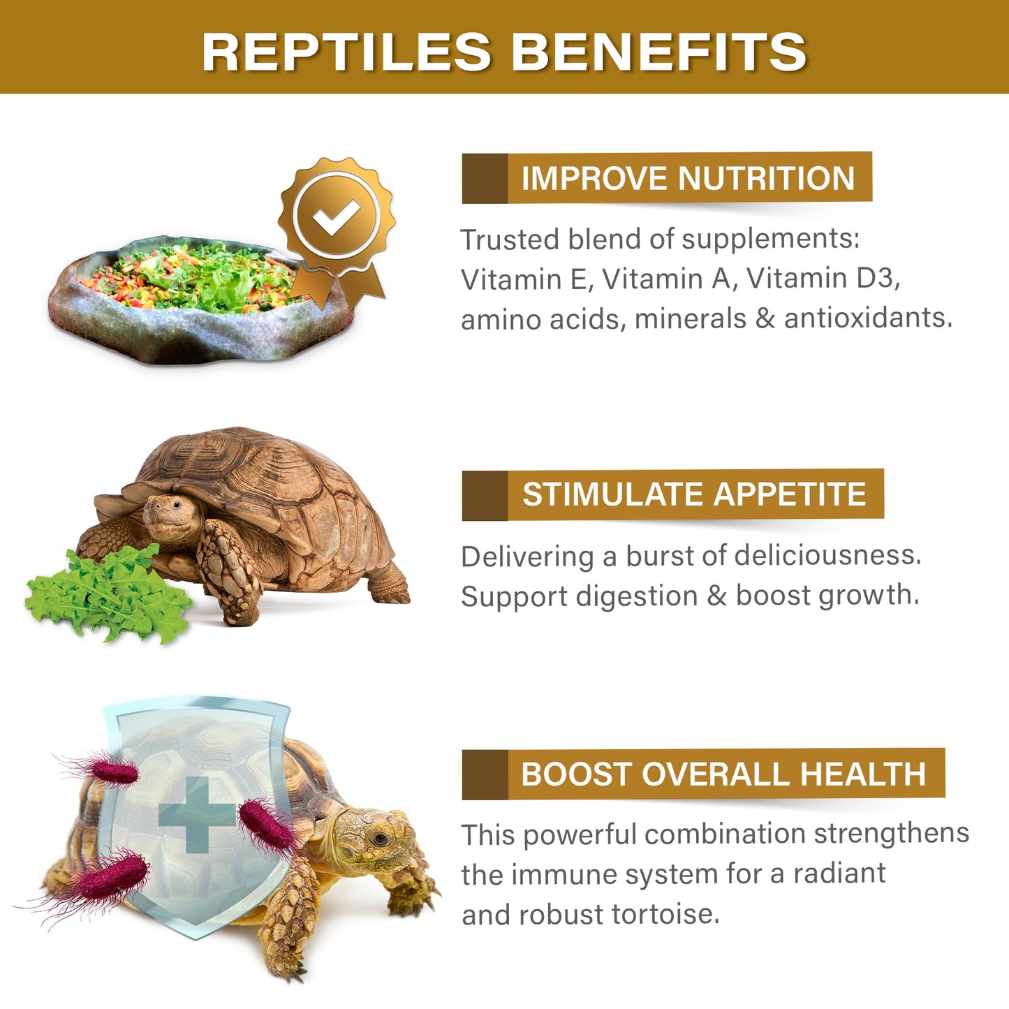 Gargeer Bearded Dragon Salad Topper: Supercharge Healthy Diet Supplement - Essential Nutrition Care Blend for Strength & Robust Immune System in Juvenile & Adult Dragons 2oz, Made in The USA. Enjoy!