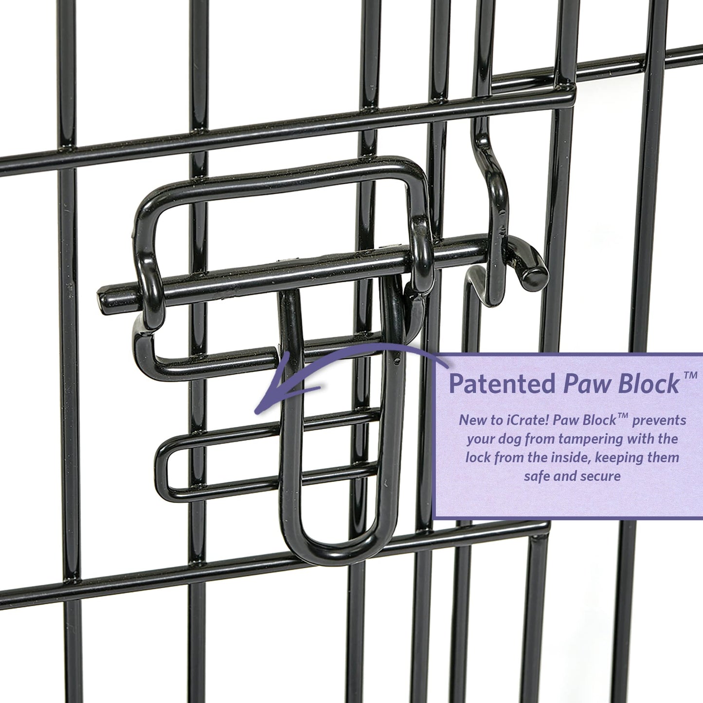 Dog Crate | MidWest iCrate 30" Folding Metal Dog Crate w/ Divider Panel, Floor Protecting Feet & Leak-Proof Plastic Tray | 30L x 19W x 21H Inches, Medium Dog, Black