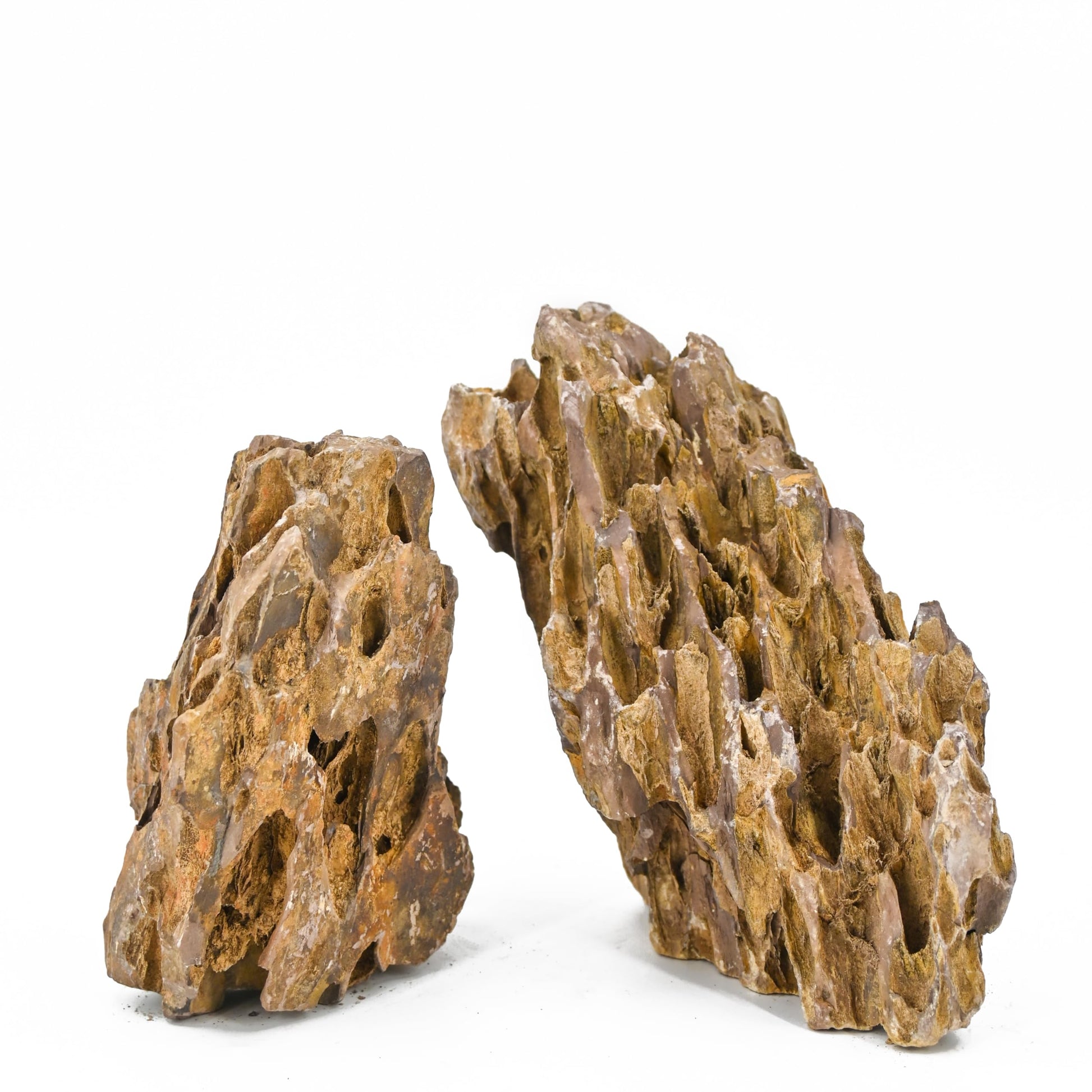 Dragon Stone Aquarium Rocks 5lb Seiryu Stone for Fish Aquariums Landscaping Model Fish Tanks Terrariums Vivariums Paludarium Amphibian Enclosures(2-4 inches) - Furr-Reel