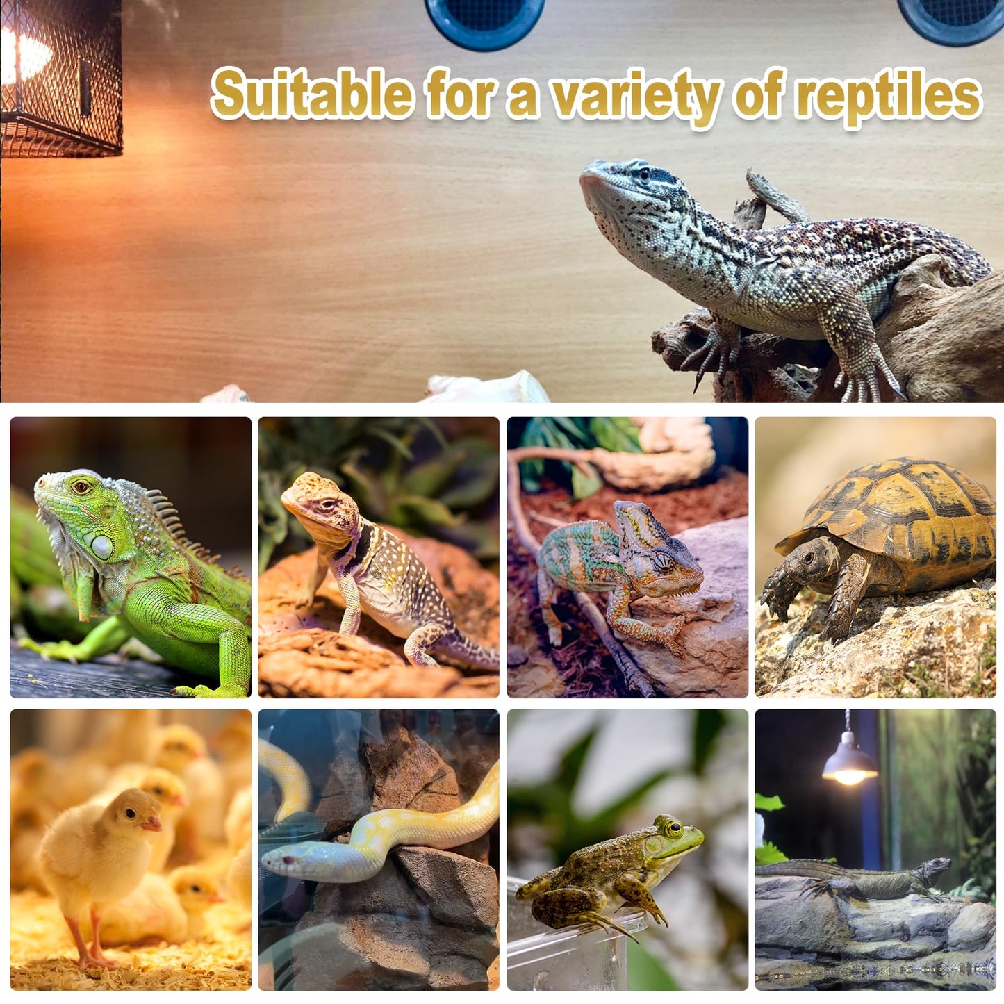 MIXJOY Reptile Heat Lamp, 2 Pack 100W Reptile Heat Lamp Bulbs, UVA Daylight Basking Spot Light for Reptiles and Amphibians - Lizard, Tortoise, Bearded Dragon