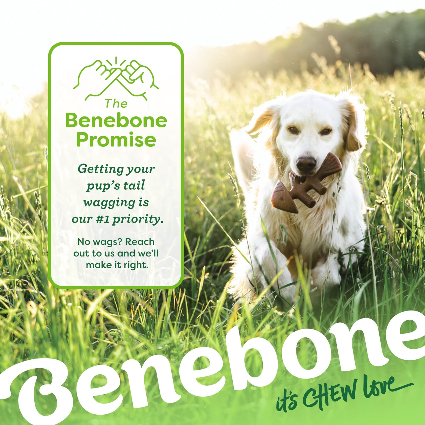 Benebone Small 4-Pack Dog Chew Toys for Aggressive Chewers, Made in USA, 30lbs and Under