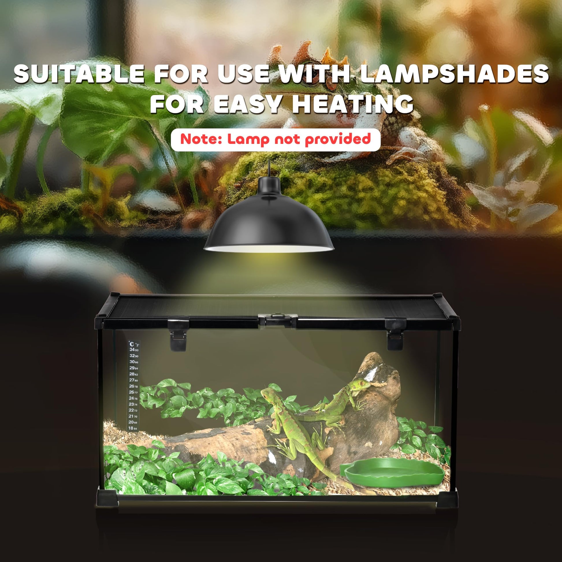 PawHut Glass Reptile Terrarium, 20"x12"x10"Jumping Spider Enclosure with Thermometer, Water Basin, Full View Visually for Lizards, Horned Frogs, Snakes, Spiders - Black - Furr-Reel