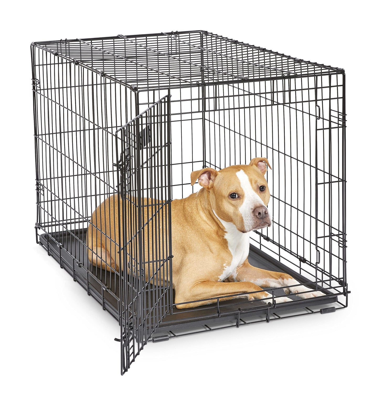 Dog Crate | MidWest iCrate 30" Folding Metal Dog Crate w/ Divider Panel, Floor Protecting Feet & Leak-Proof Plastic Tray | 30L x 19W x 21H Inches, Medium Dog, Black