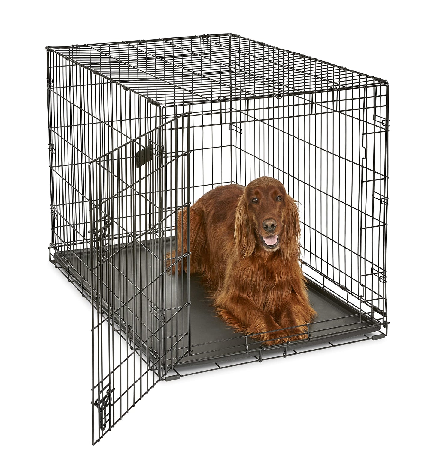 Dog Crate | MidWest iCrate 30" Folding Metal Dog Crate w/ Divider Panel, Floor Protecting Feet & Leak-Proof Plastic Tray | 30L x 19W x 21H Inches, Medium Dog, Black