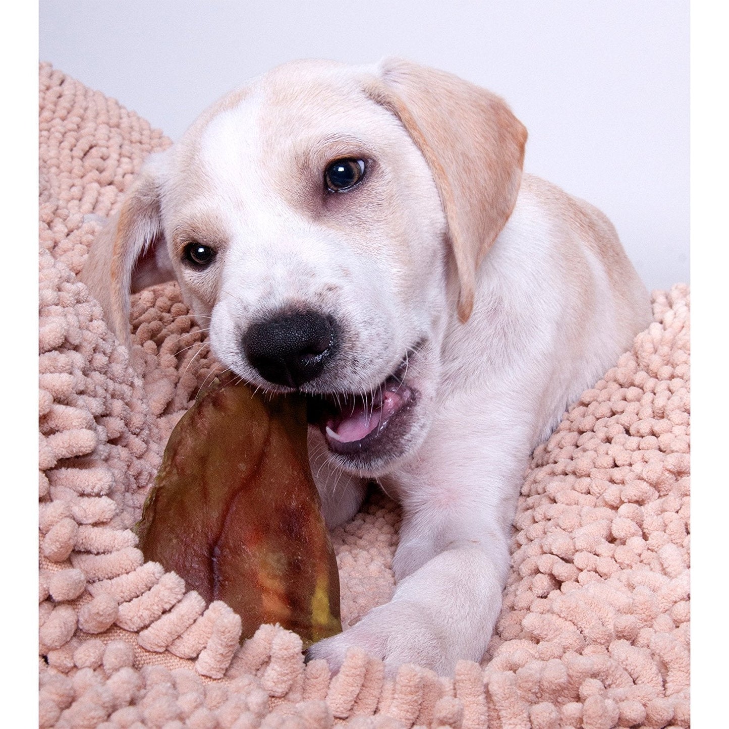 Pig Ears for Dogs - Furr-Reel