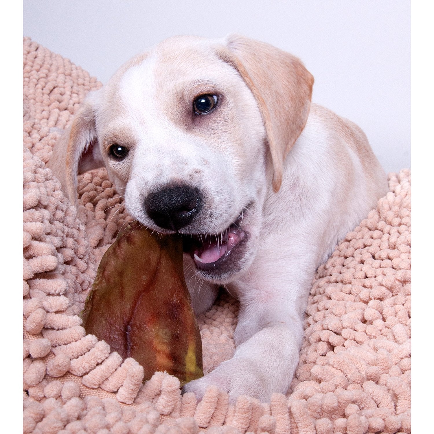 Pig Ears for Dogs - Furr-Reel