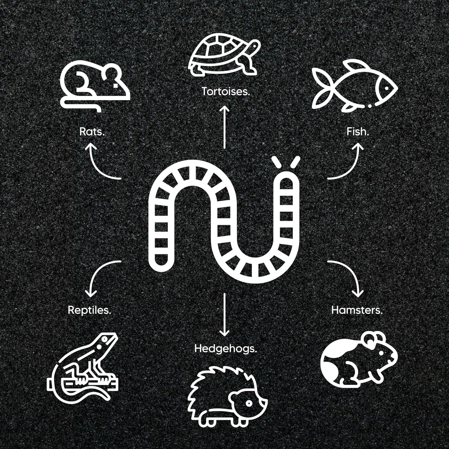 2lb - Dried Black Soldier Fly Larvae by Premium Feeders – Dried mealworms Alternative – Treats for Chicken, Hens, Duck, Bird, Quail, Tortoise, Fish – High Calcium & Protein – All Natural BSF