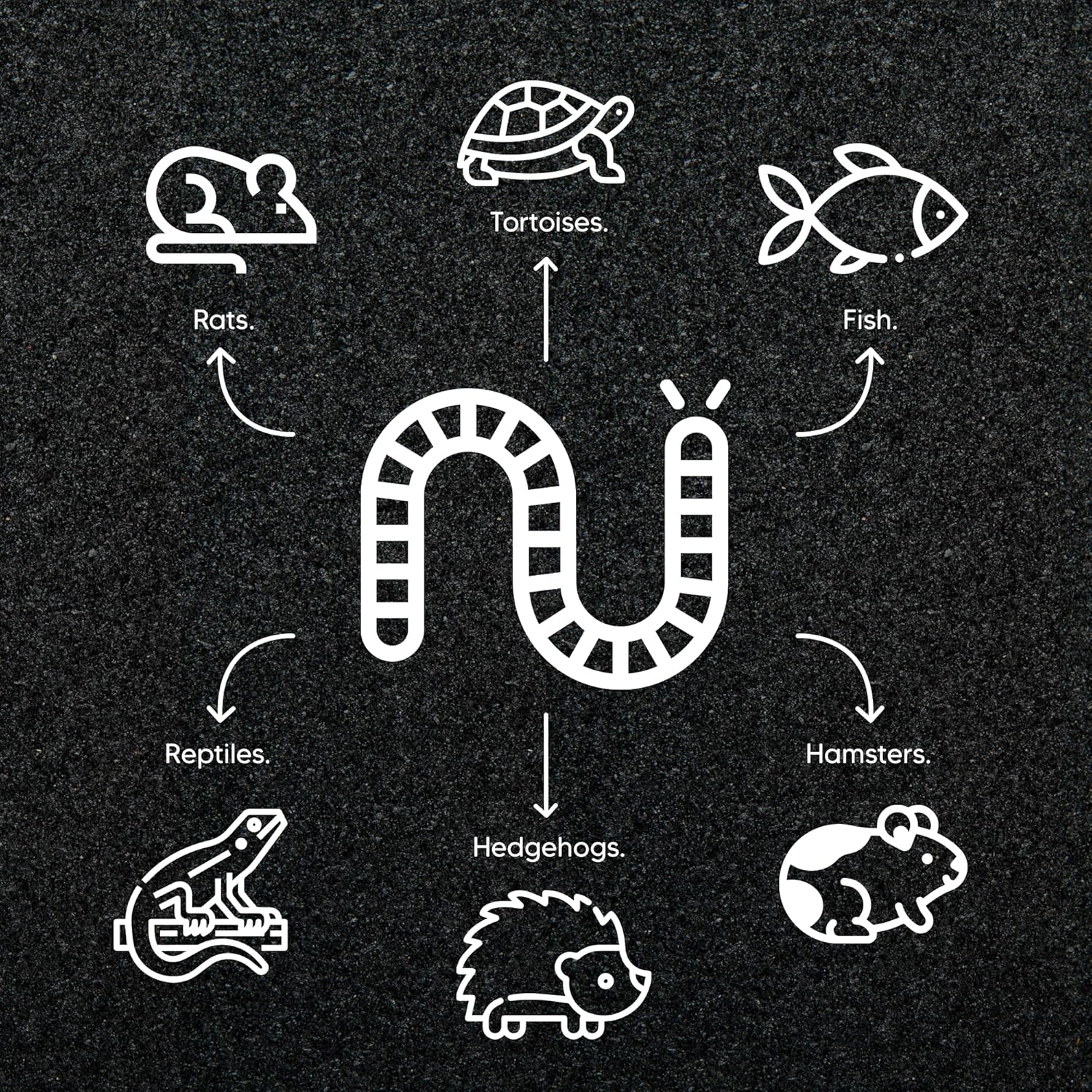 3LB - MEALWORMS by Premium Feeders – Approx 48000+ Dried Mealworms - Chicken & Bird Feed - Meal Worms Treats - High Protein – Mealworm for Chickens, Wild Birds, Hens, Rat, Fish, Hedgehog & Hamster