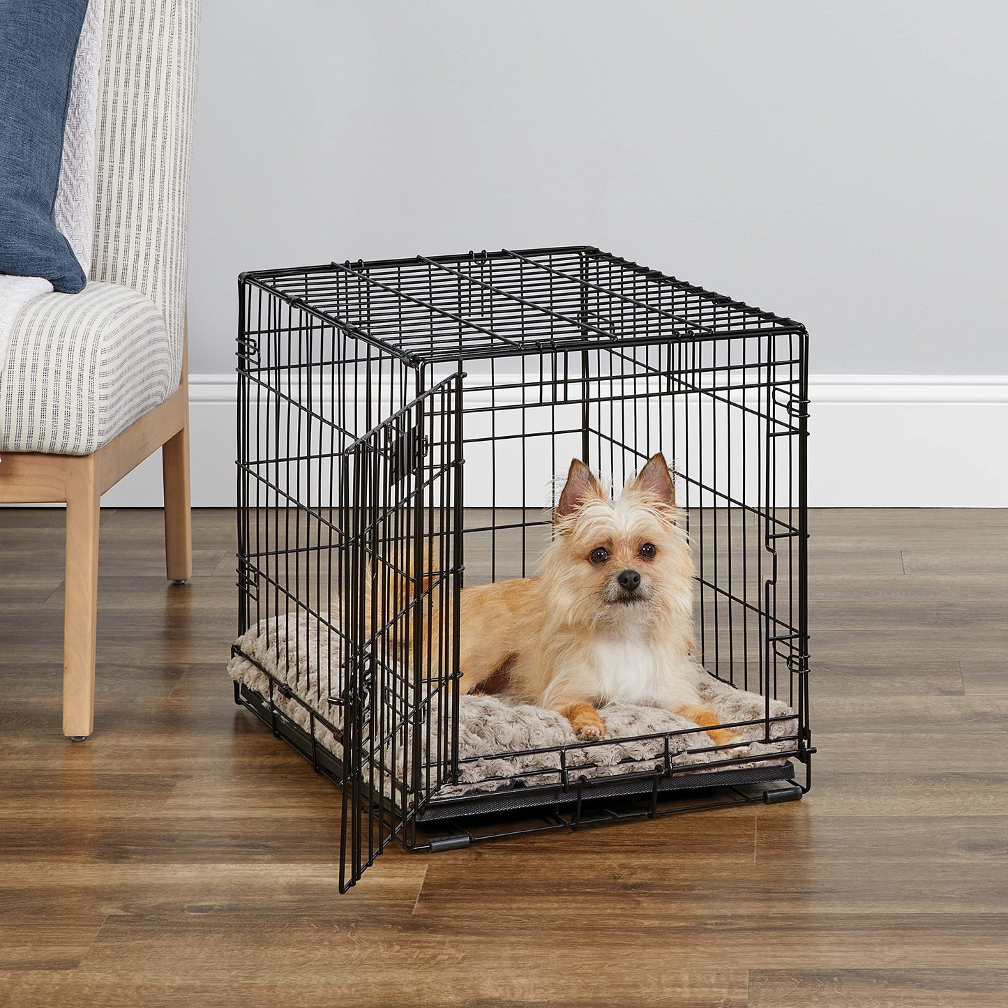 Dog Crate | MidWest iCrate 30" Folding Metal Dog Crate w/ Divider Panel, Floor Protecting Feet & Leak-Proof Plastic Tray | 30L x 19W x 21H Inches, Medium Dog, Black