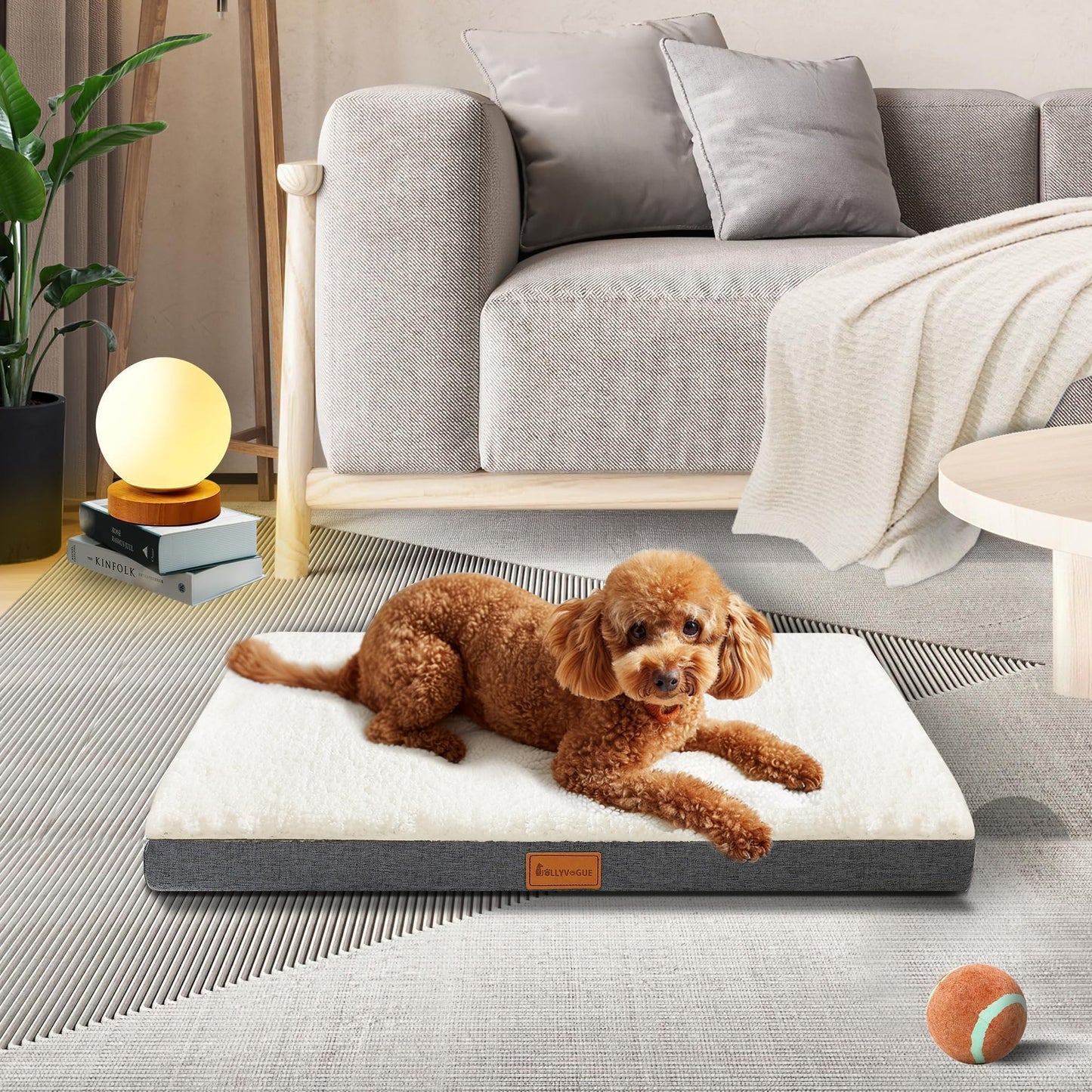 JOLLYVOGUE Dog Bed Large, Orthopedic Dog Bed Support Egg Crate Foam Dog Beds, Soft & Cozy Pet Bed Mat with Removable Washable Cover (Large, Dark Grey, Up to 75 lbs)