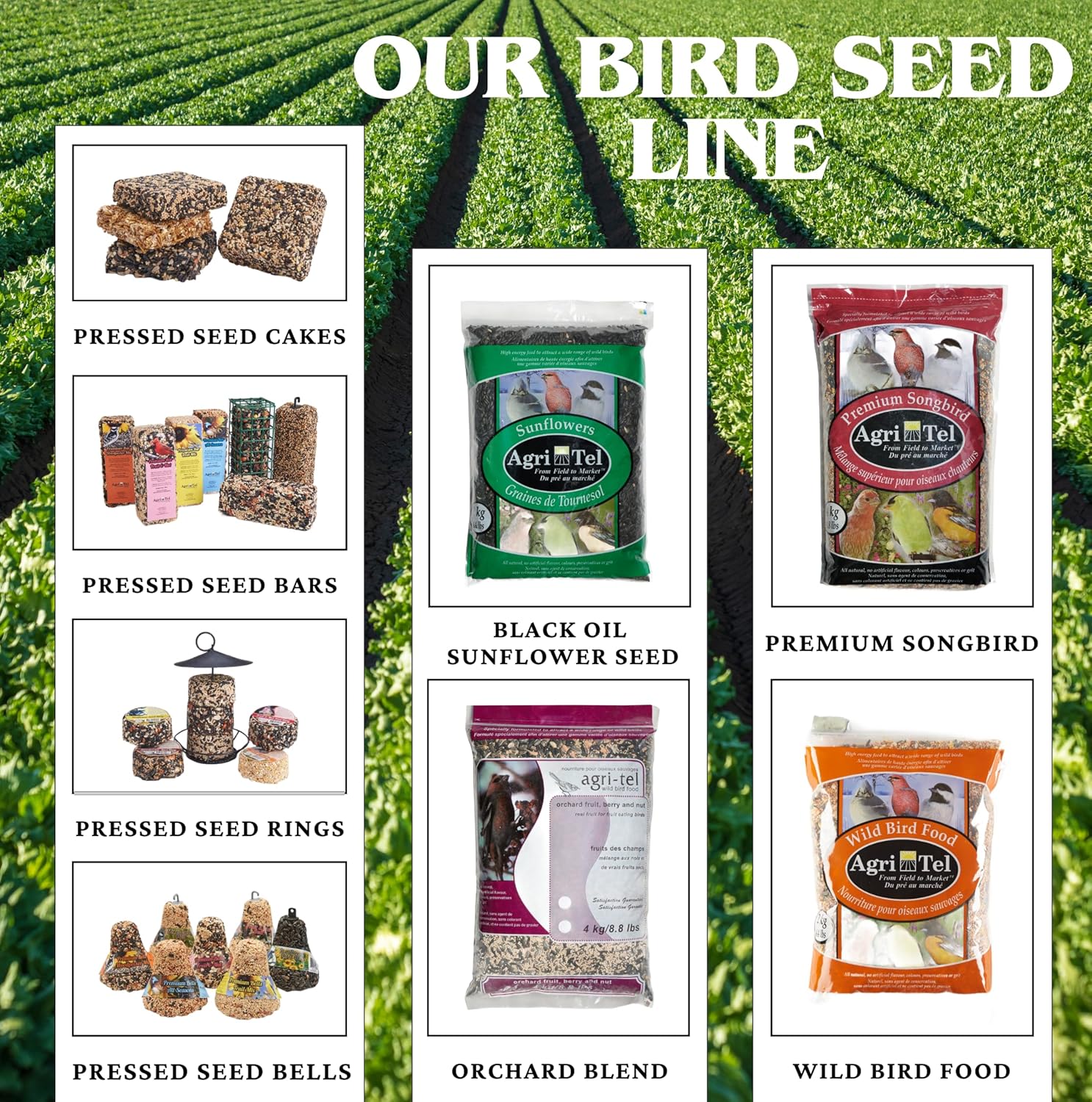Agri-Tel Premium All Season Wild Songbird Bird Seed for Outside Feeders | 4 kg (9 lb)