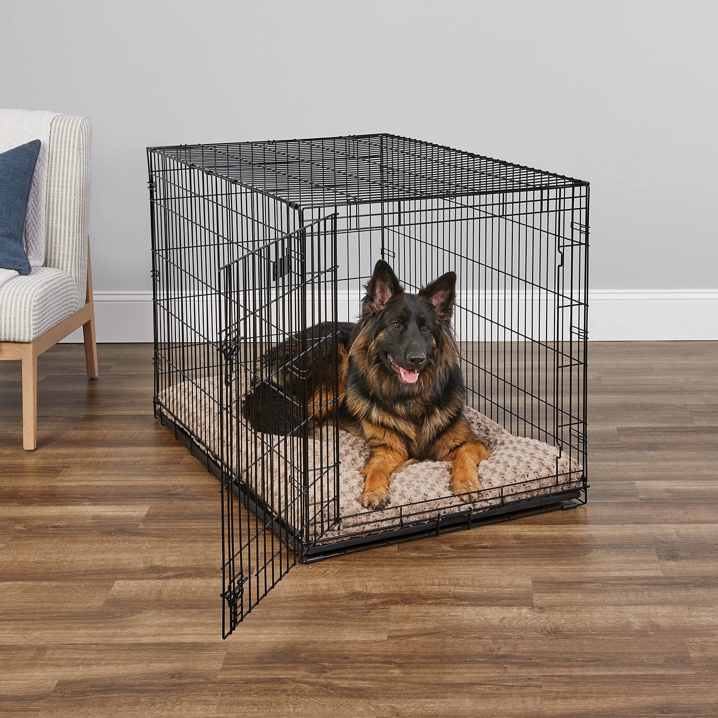 Dog Crate | MidWest iCrate 30" Folding Metal Dog Crate w/ Divider Panel, Floor Protecting Feet & Leak-Proof Plastic Tray | 30L x 19W x 21H Inches, Medium Dog, Black