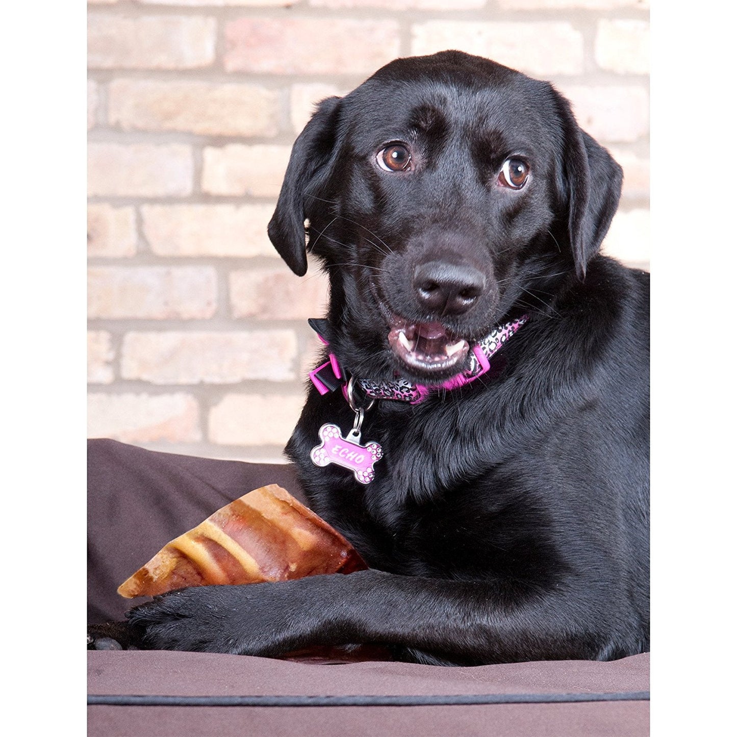 Pig Ears for Dogs - Furr-Reel