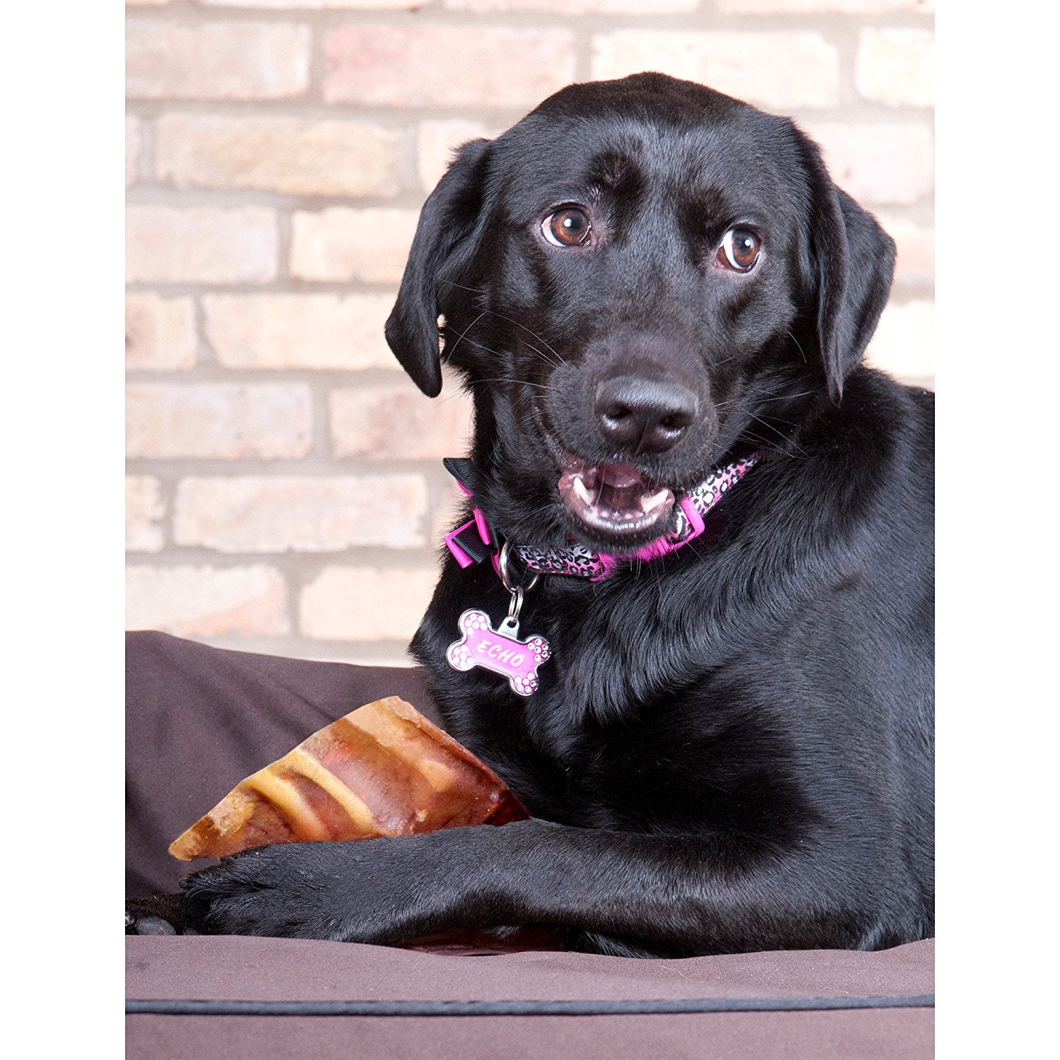 Pig Ears for Dogs - Furr-Reel