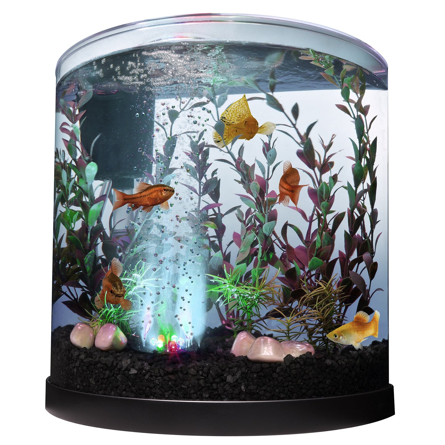 Tetra Bubbling LED Aquarium Kit 3 Gallons, Half-Moon Fish Tank With Color-Changing Light Disc - Furr-Reel
