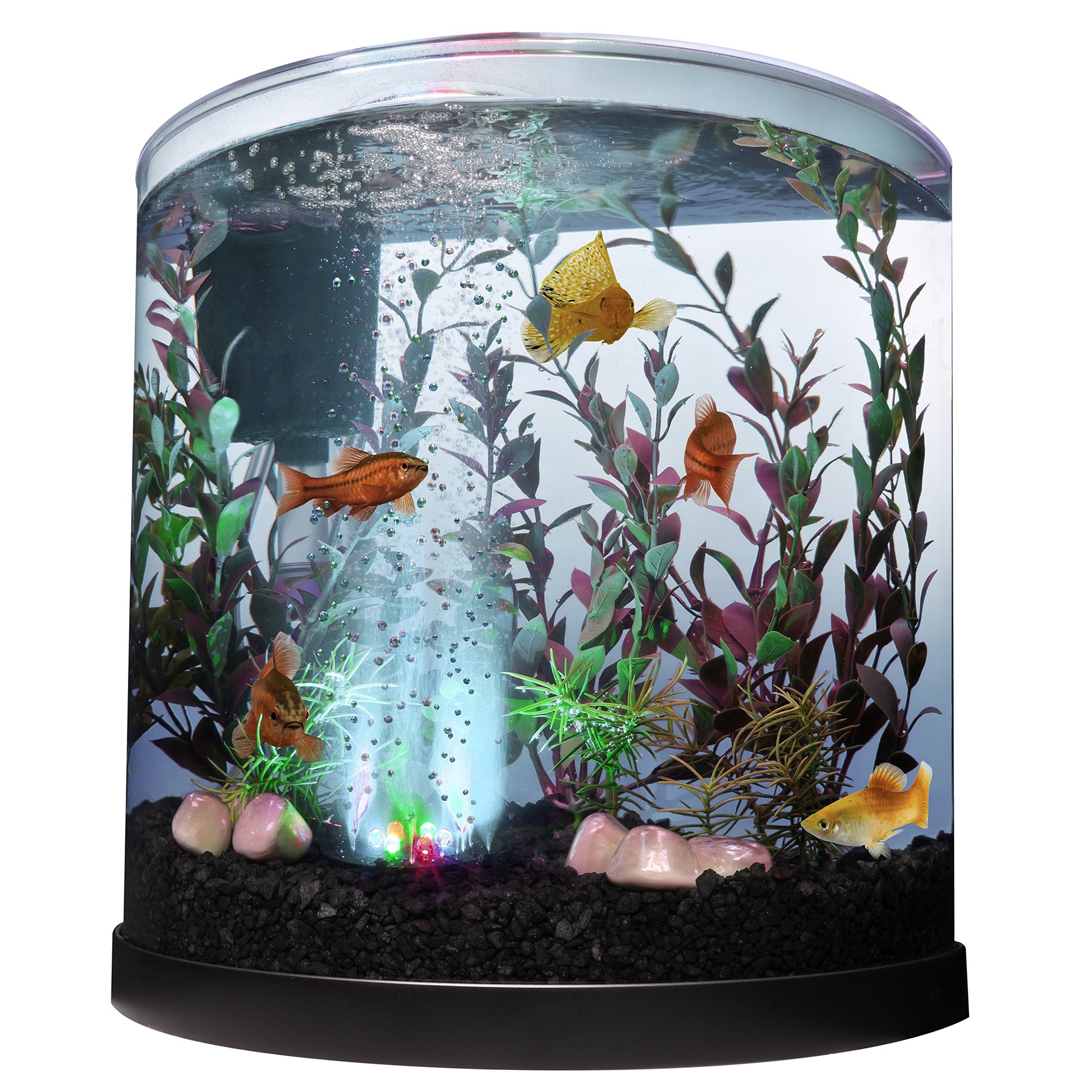 Tetra Bubbling LED Aquarium Kit 3 Gallons, Half-Moon Fish Tank With Color-Changing Light Disc - Furr-Reel