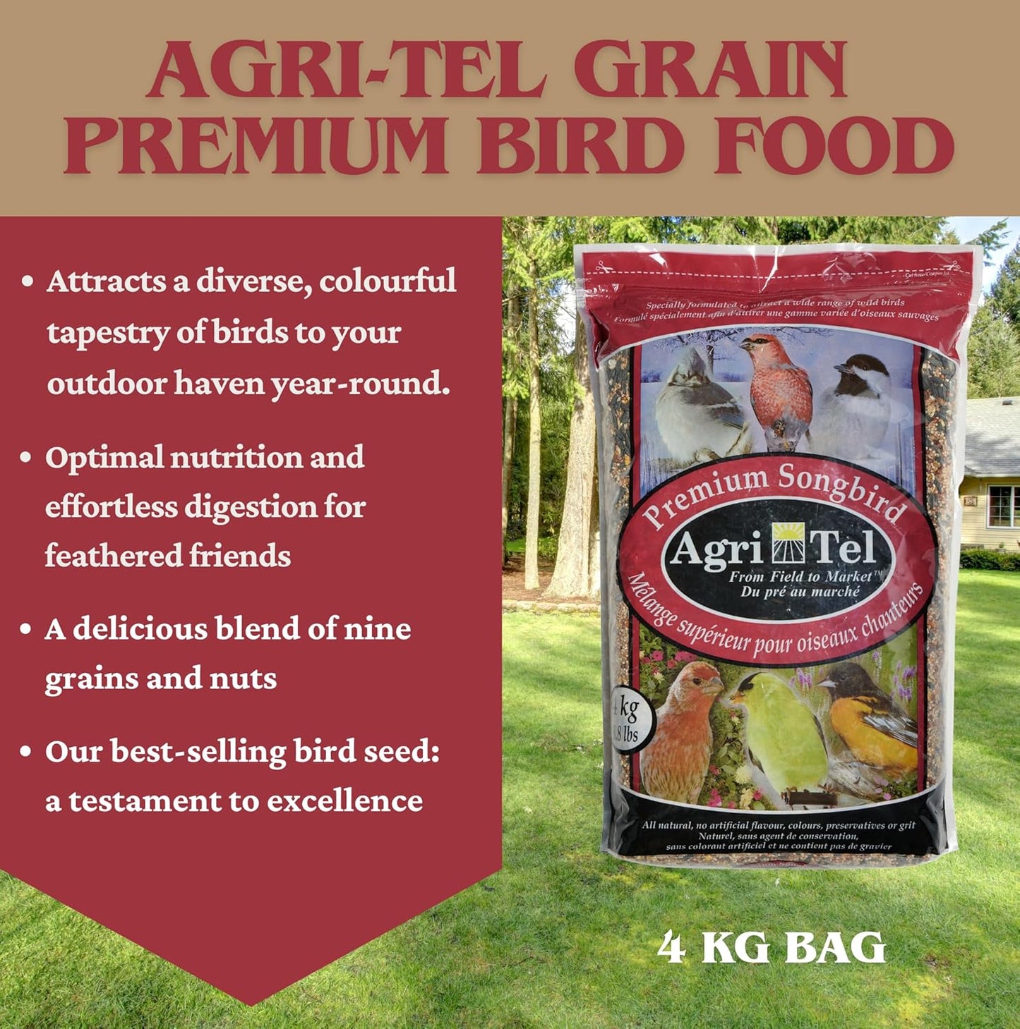 Agri-Tel Premium All Season Wild Songbird Bird Seed for Outside Feeders | 4 kg (9 lb)