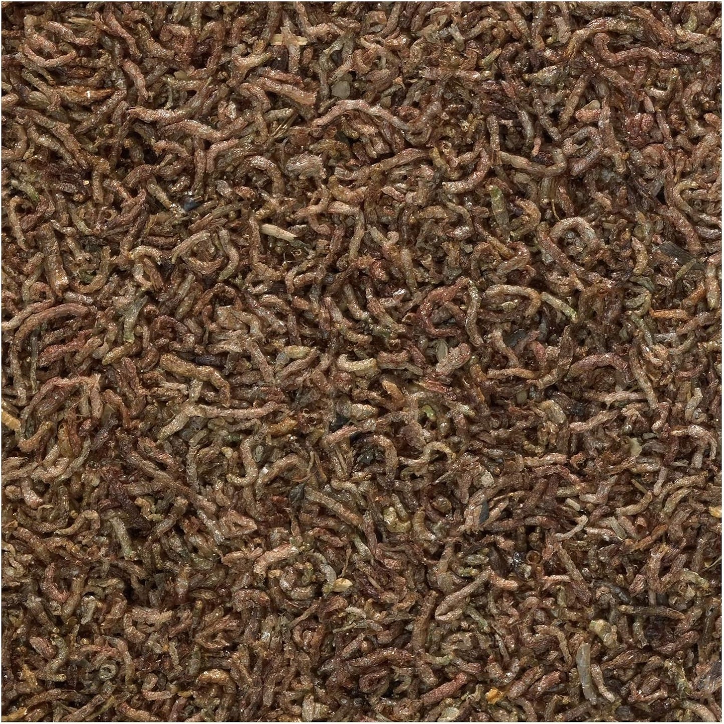 Tetra Bloodworms 0.25oz, 7g (Bilingual)