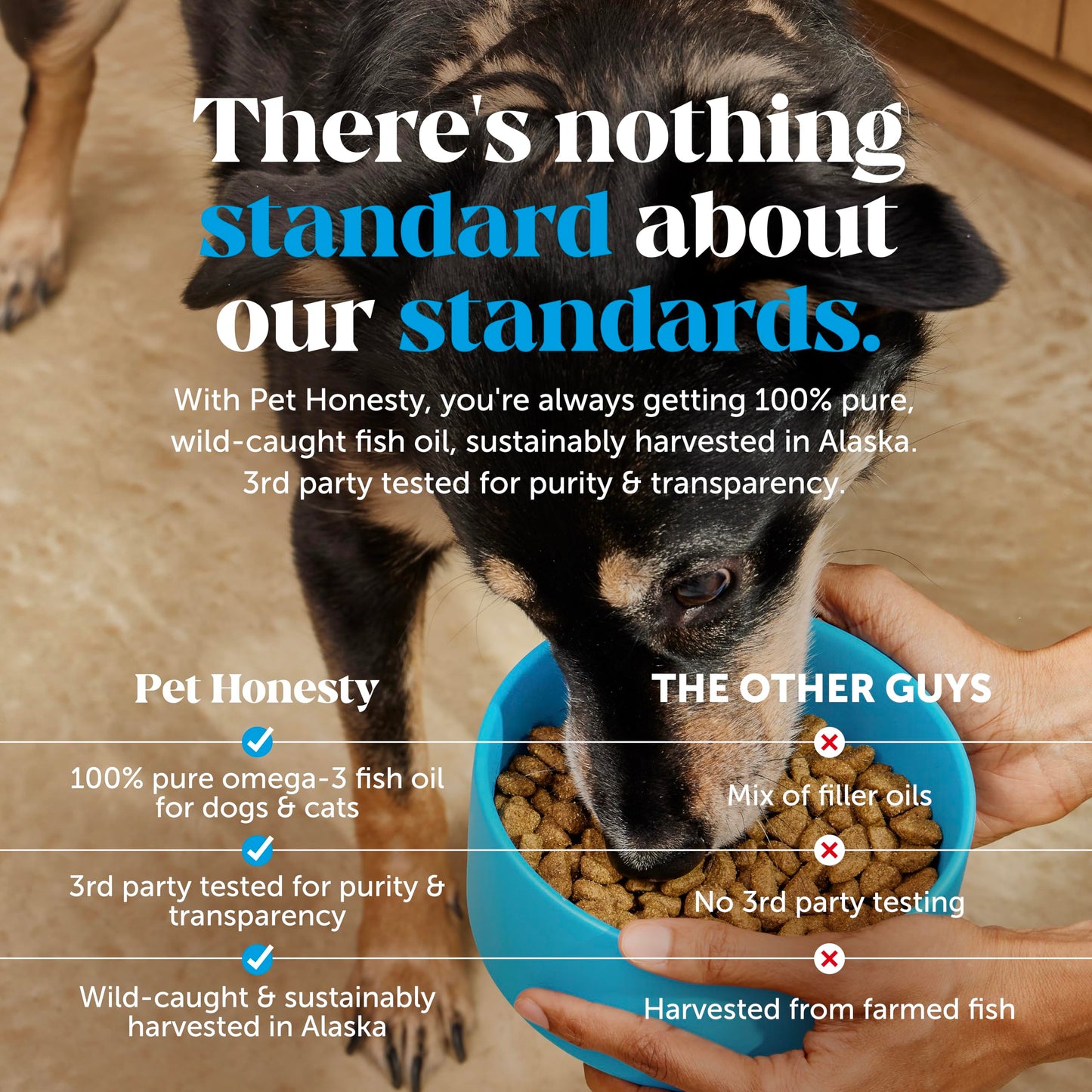 Pet Honesty Cat Skin & Coat Health Chews - Omegas, Vitamin C + E, Biotin Supplement, Soothes Skin and Promotes Shiny Coat, Cat Supplements & Vitamins - Chicken (30-Day Supply)