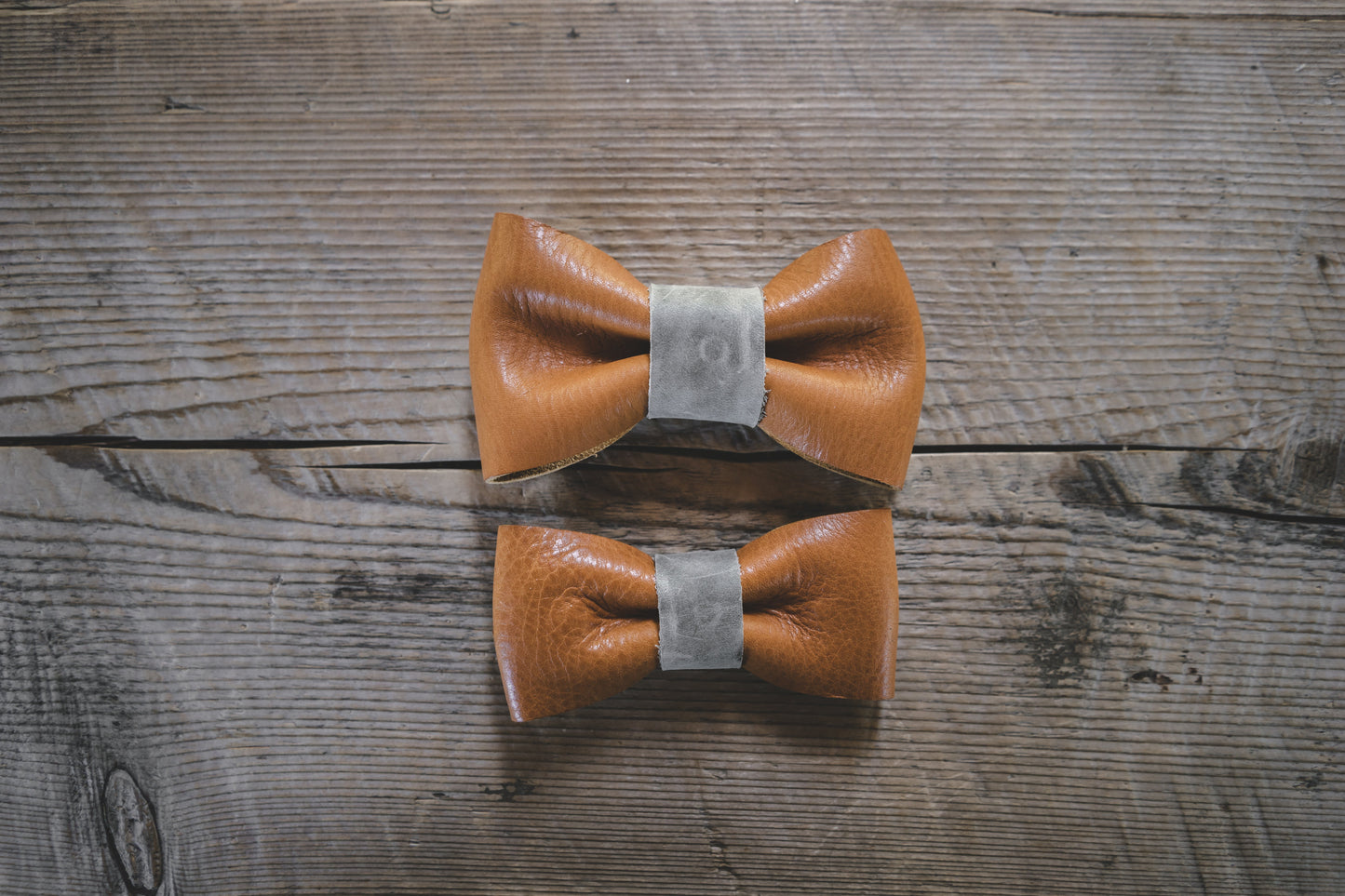 Bow Tie