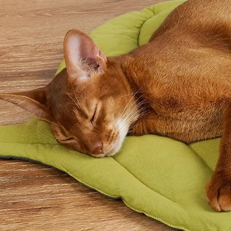 NNEDSZ 1 Pcs Yellow Leaf-Shaped Pet Sleeping Mat - Durable Dog Floor Pad & Cat Bed for Sleeping and Playtime - Furr-Reel