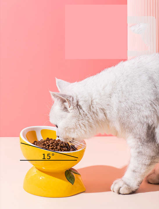 NNEDSZ Ceramic Elevated Pet Food Bowl - Cute Banana Pattern Design for Cats and Small Dogs - Furr-Reel